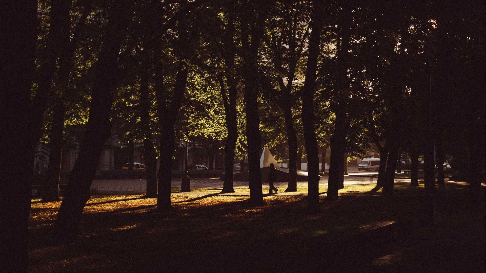 Random image from Lorem Picsum