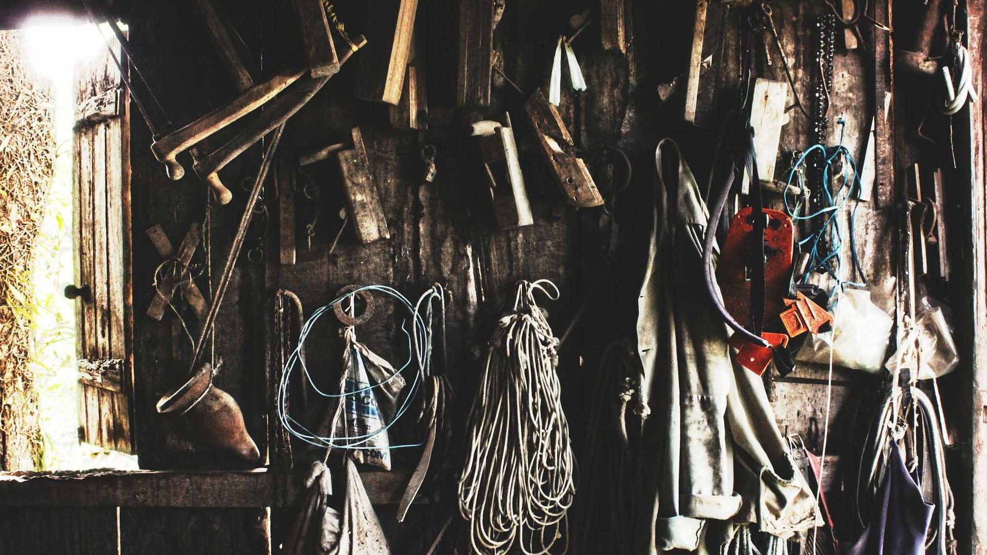 Random image from Lorem Picsum