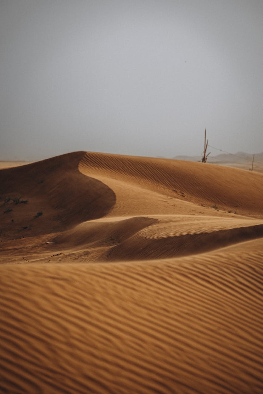 Tranquil desert scene at sunset with rippled sand dunes in Al Ain, UAE.