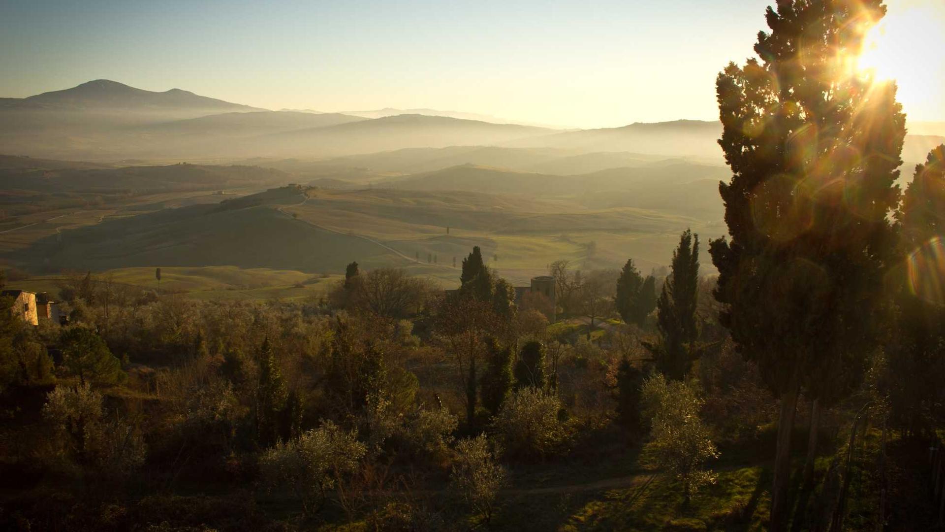 Random image from Lorem Picsum