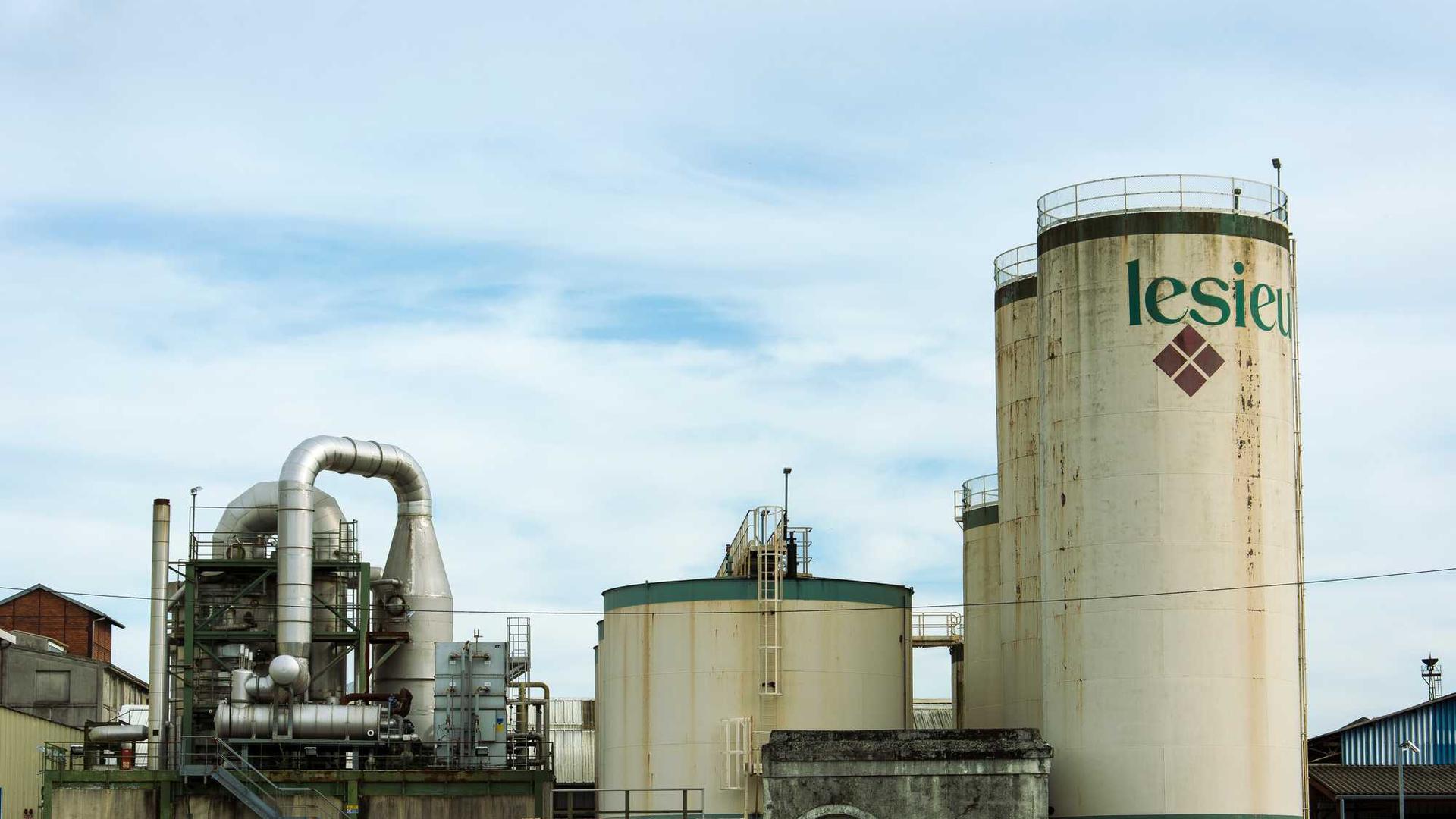 Random image from Lorem Picsum