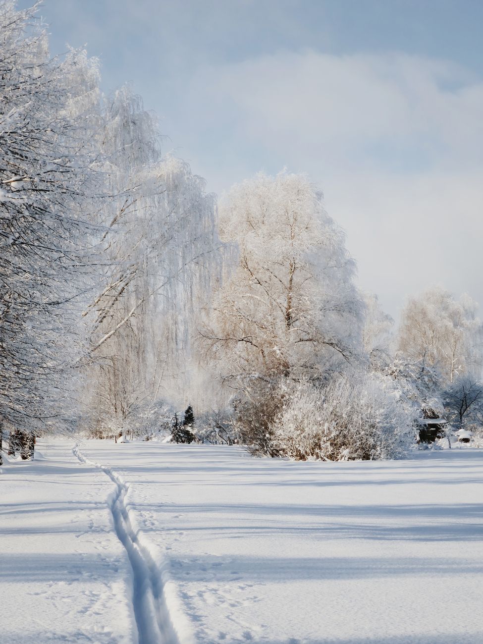 Long snowy pathway going through winter park against scenic landscape with trees covered with frost and cloudy blue sky on sunny day