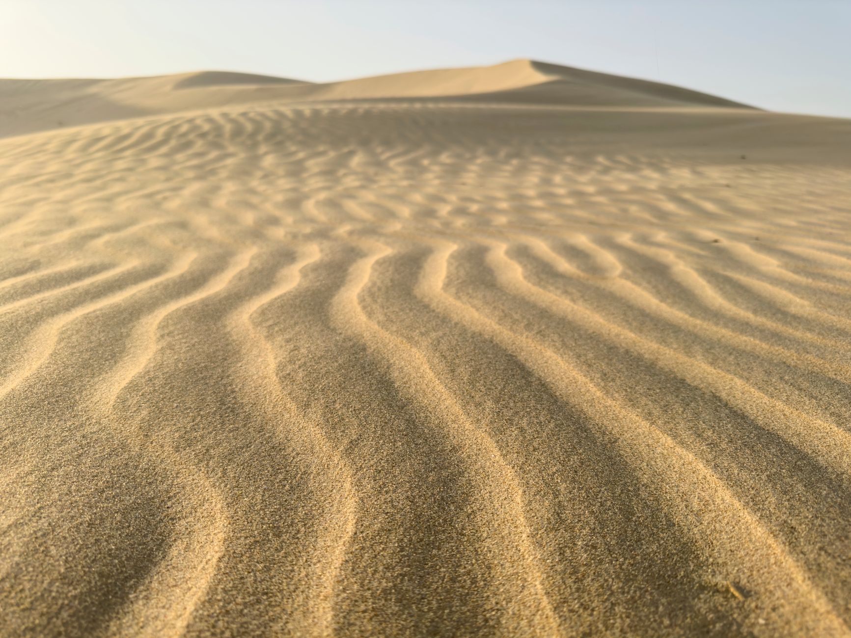 A breathtaking view of sand dunes with captivating wave patterns under the golden sunset, portraying tranquility and natural beauty.