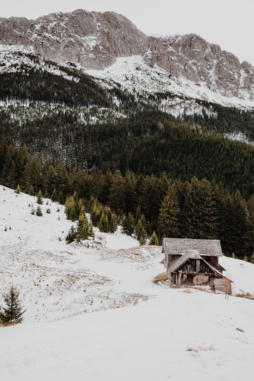 Scenic winter view of a rustic cabin in Romania, surrounded by snowy alpine landscape.