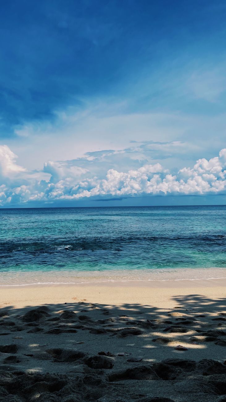 Beautiful view of a tropical beach and clear blue sea in Papua, Indonesia.