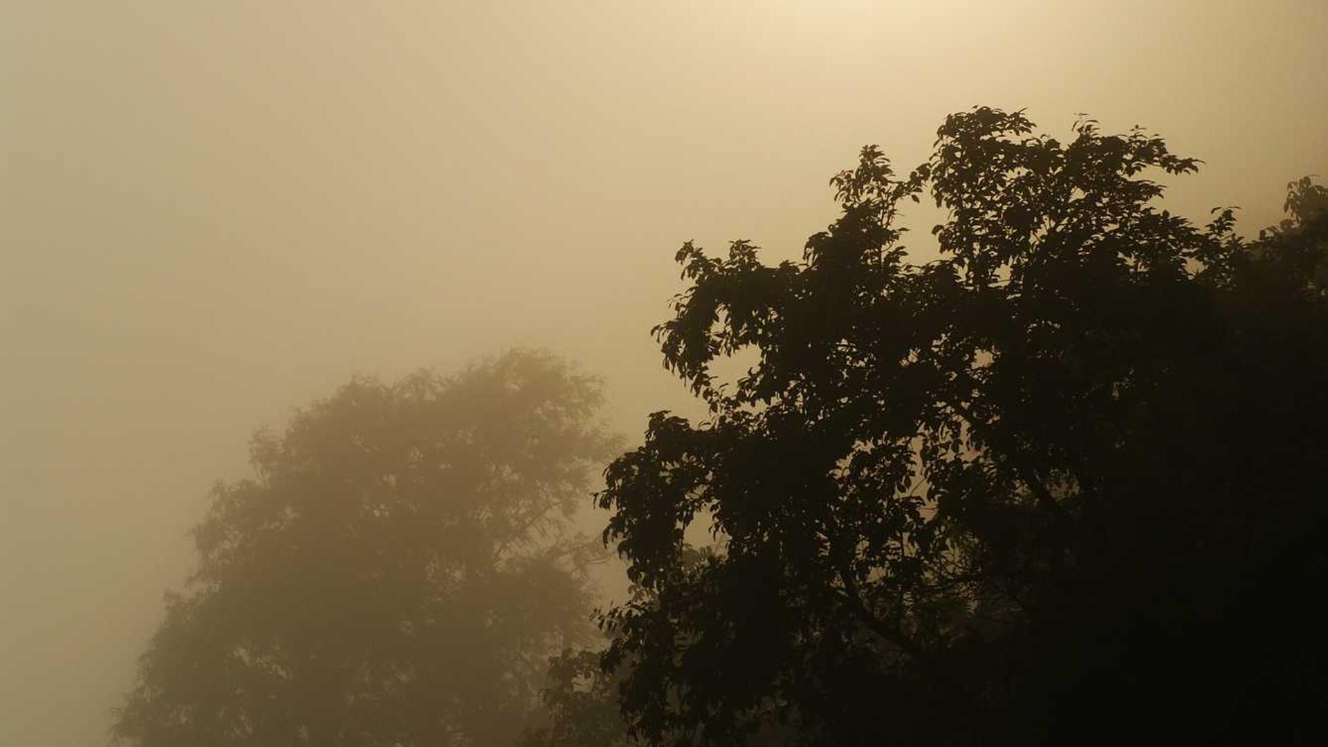 Random image from Lorem Picsum