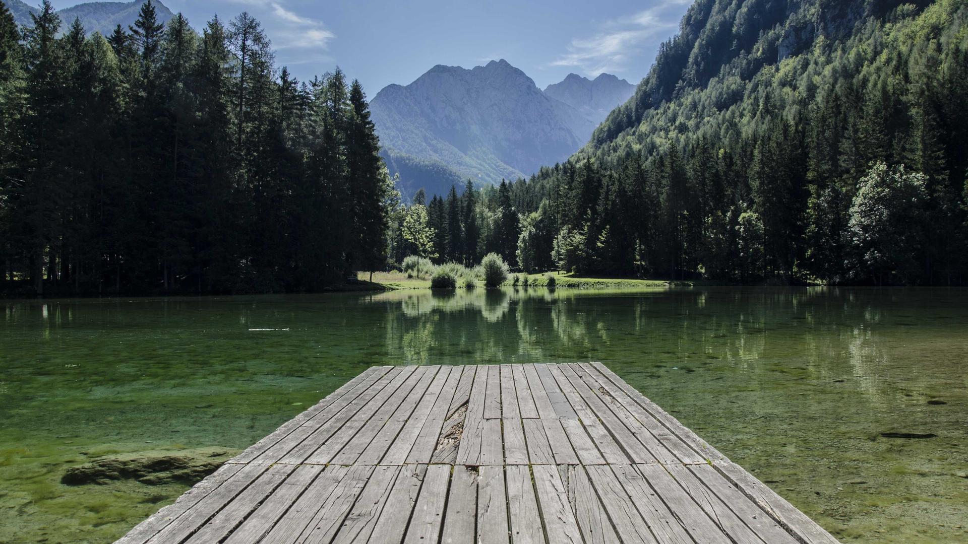 Random image from Lorem Picsum