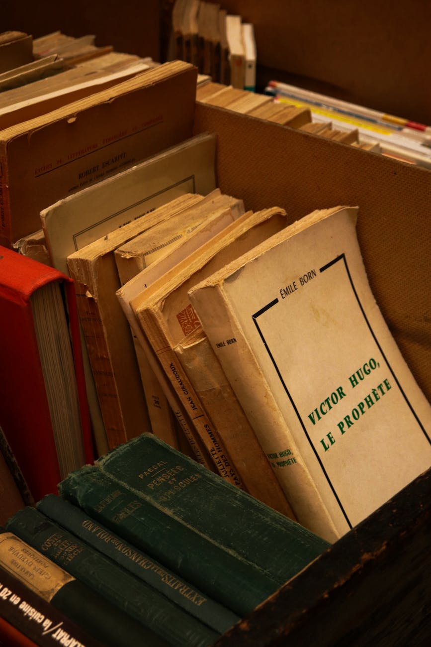 Collection of vintage paperback books in a cardboard box, ideal for literature enthusiasts.