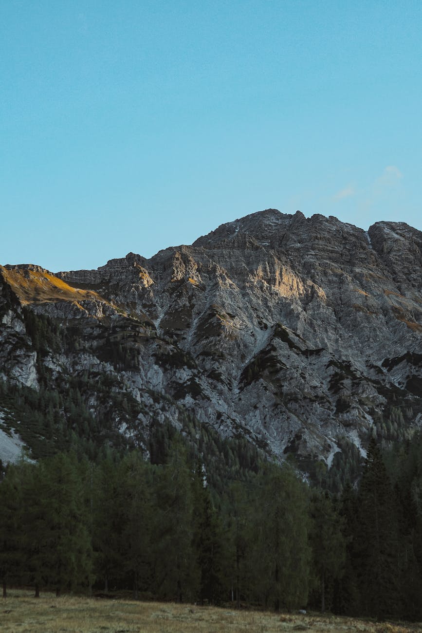 Scenic view of rugged mountains above a forest under a clear blue sky.