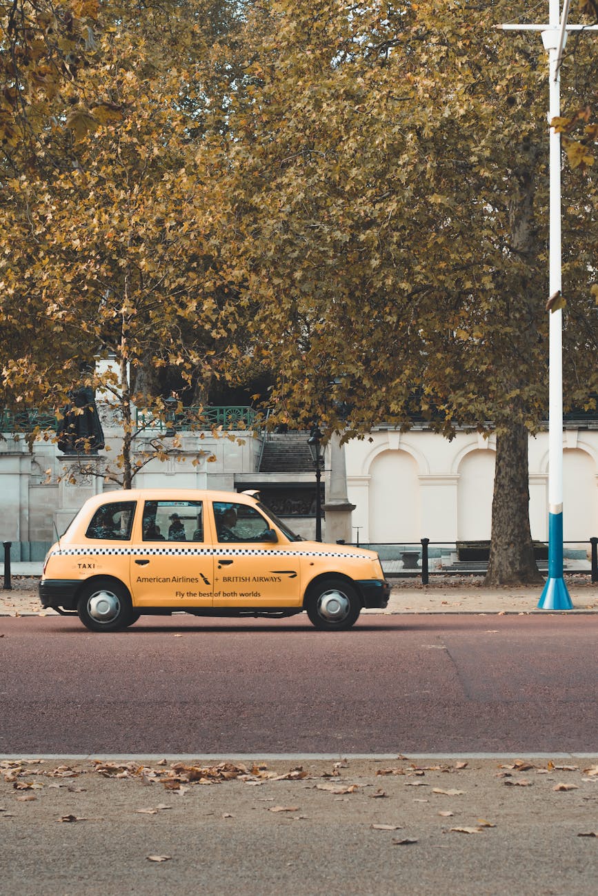 A yellow taxi drives through a tree-lined street in London, capturing the essence of urban autumn.