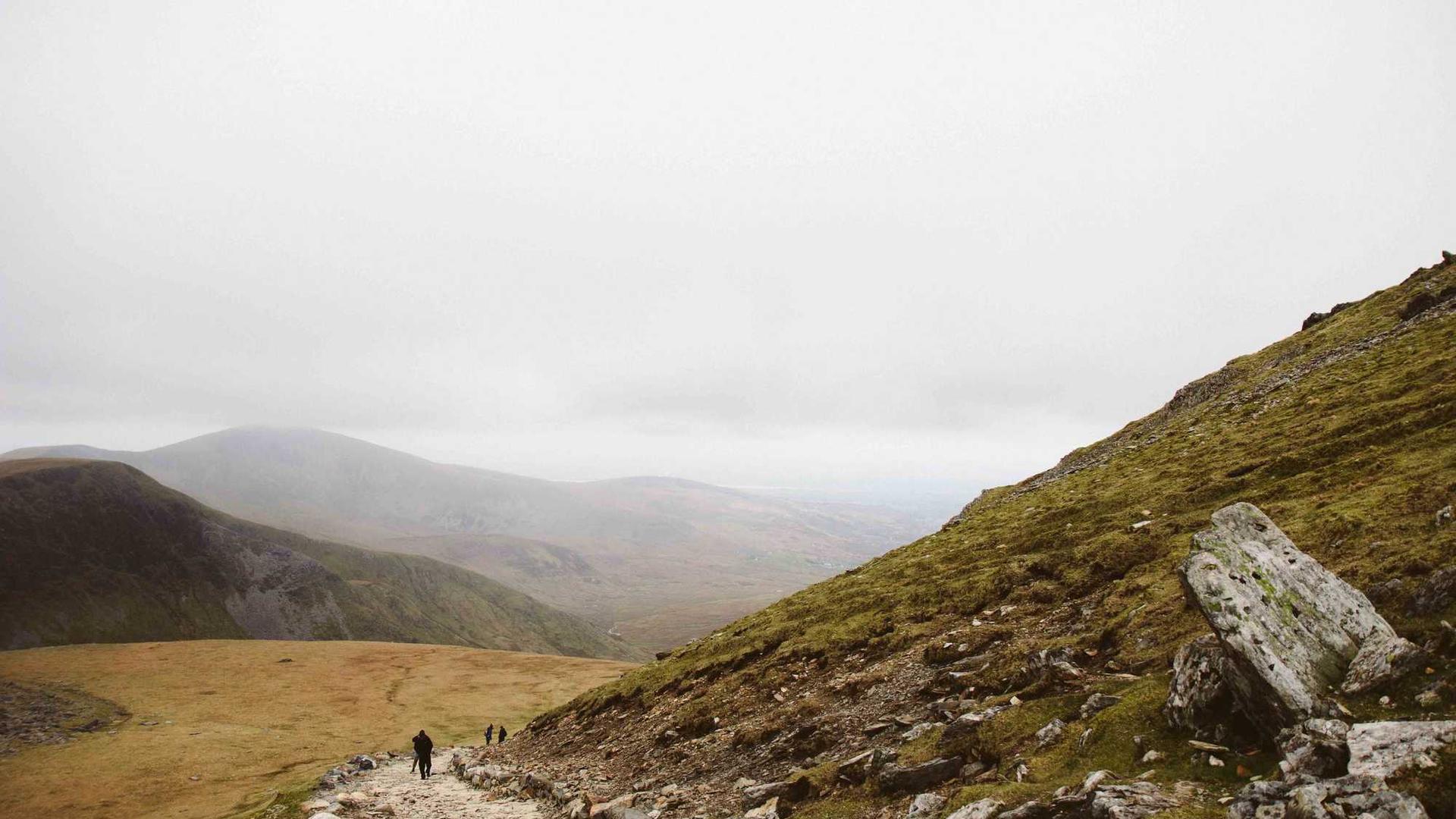 Random image from Lorem Picsum