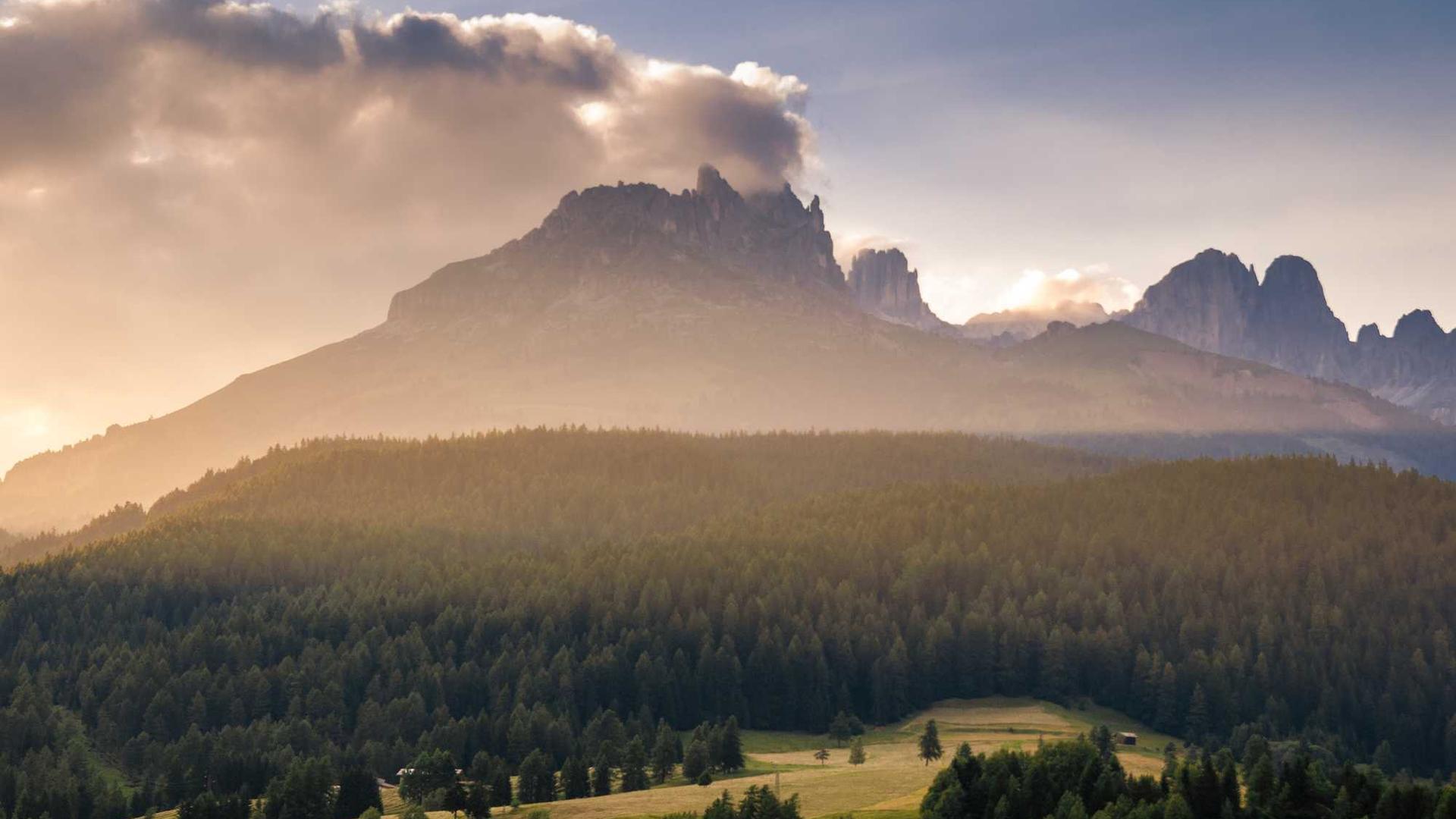 Random image from Lorem Picsum