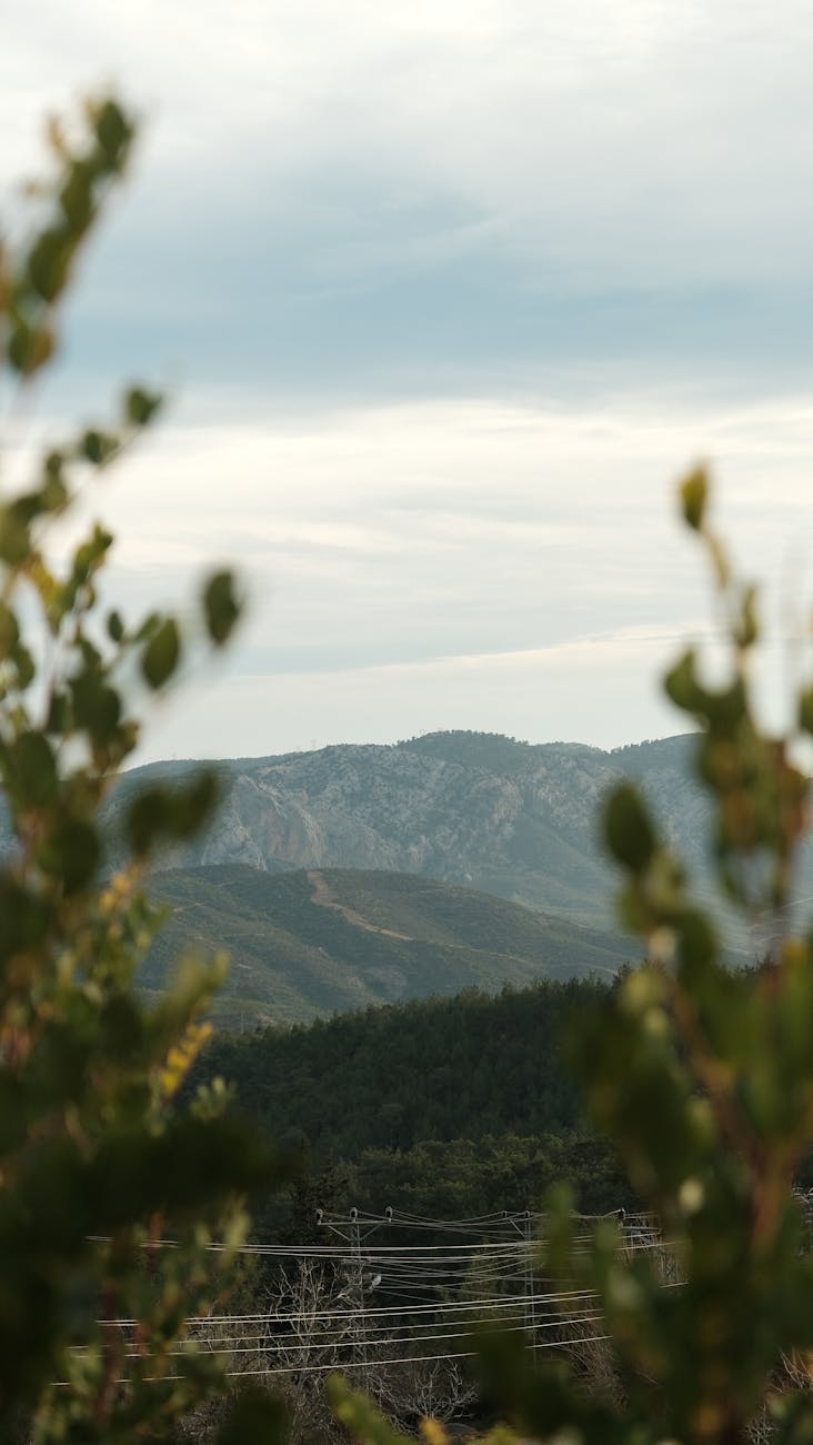 A scenic mountain view framed by green foliage under a cloudy sky.