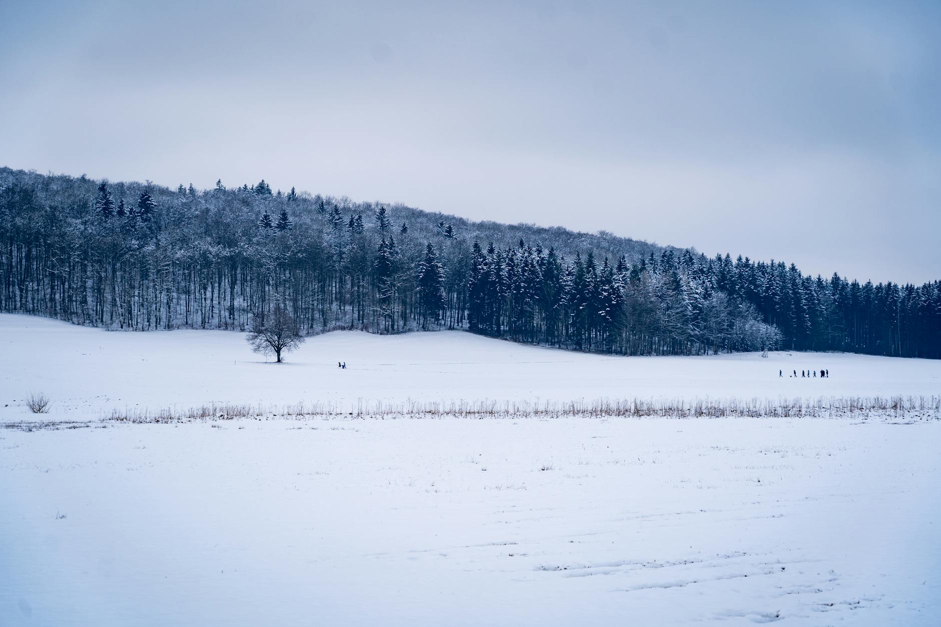 A tranquil snow-covered landscape in Lenningen, Germany featuring a snowy field and distant hikers.