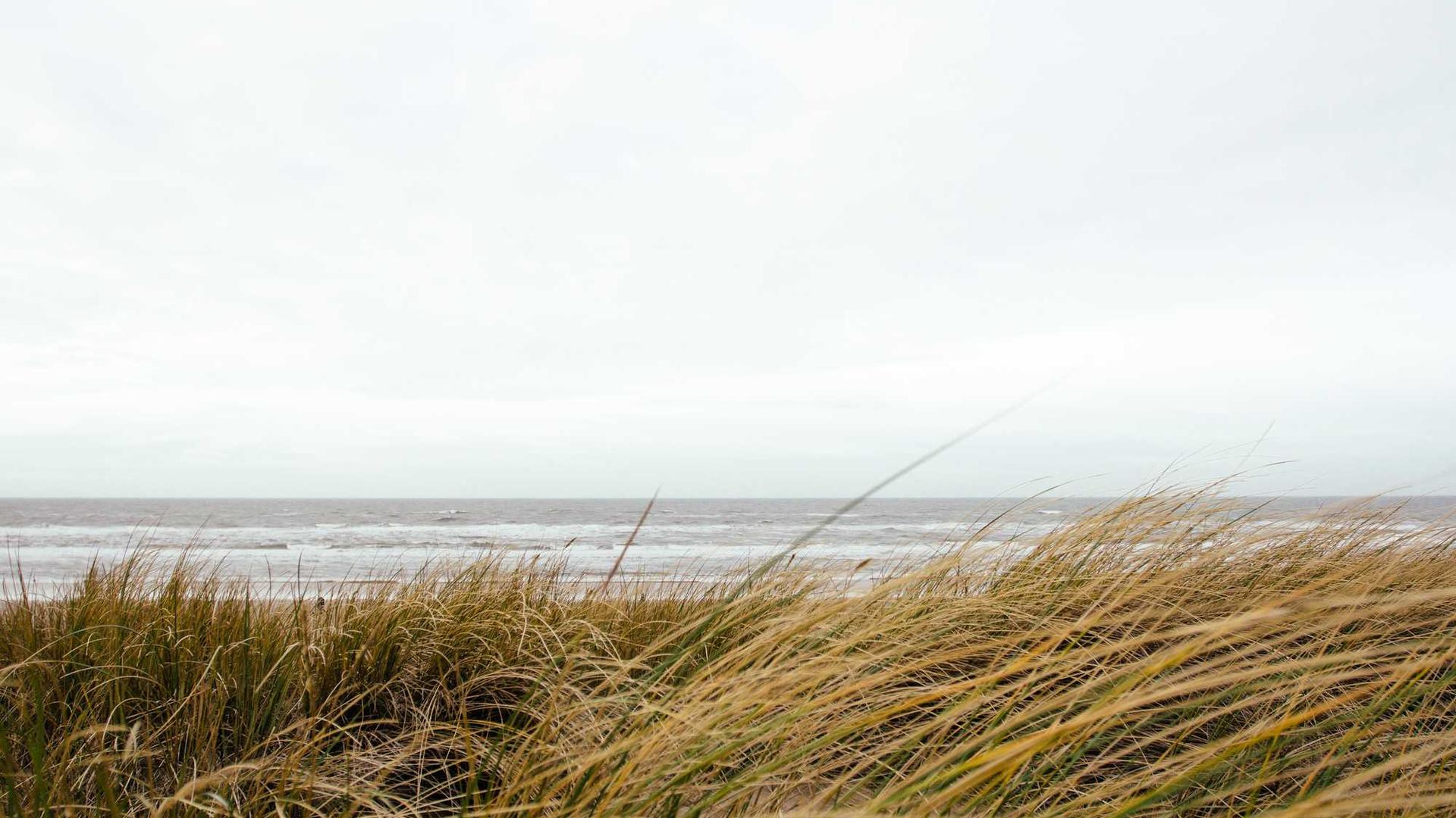 Random image from Lorem Picsum