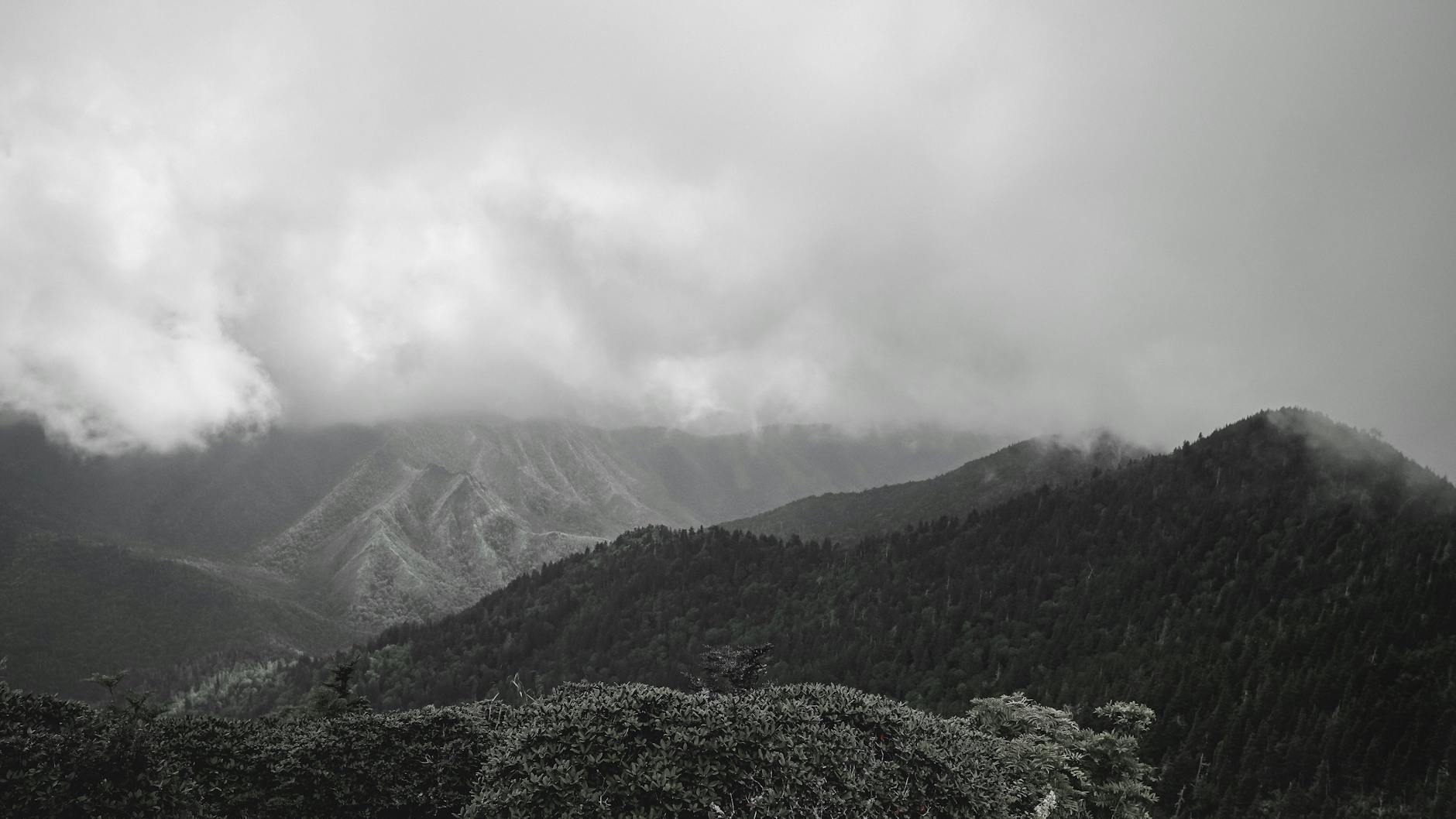 Foggy mountain view in Tennessee capturing the serene natural landscape and misty atmosphere.