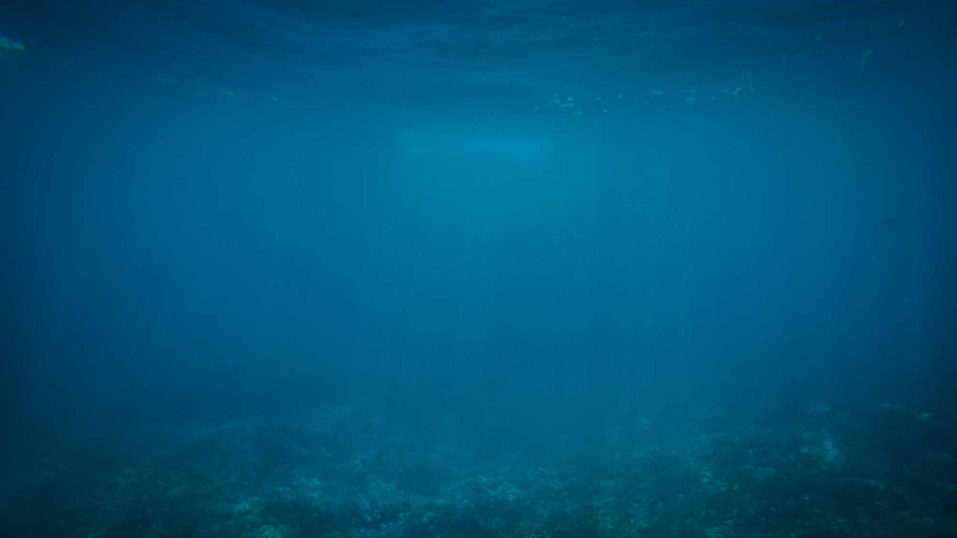 Random image from Lorem Picsum