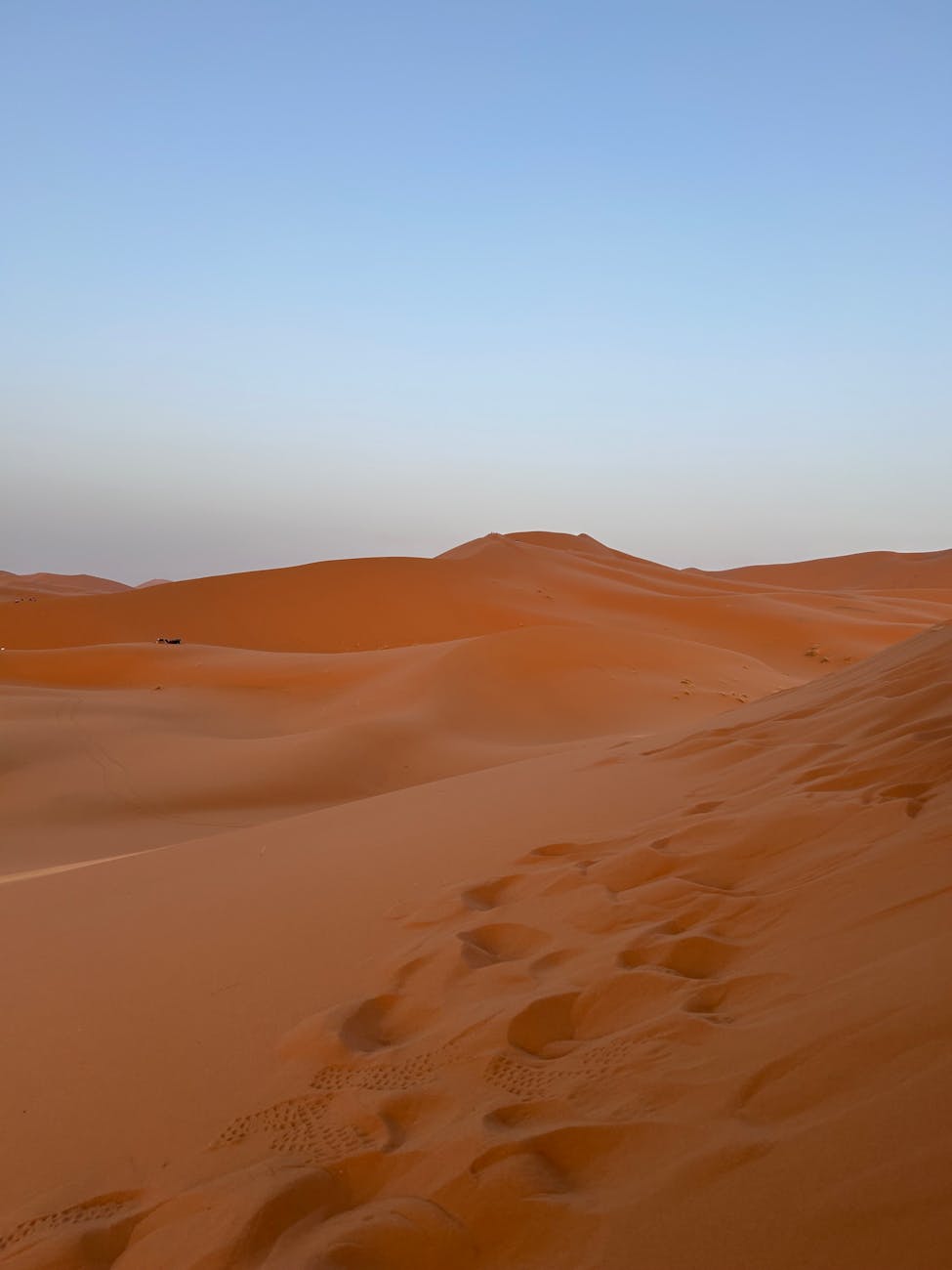 Expansive view of the Sahara's sand dunes under a clear blue sky in Morocco.