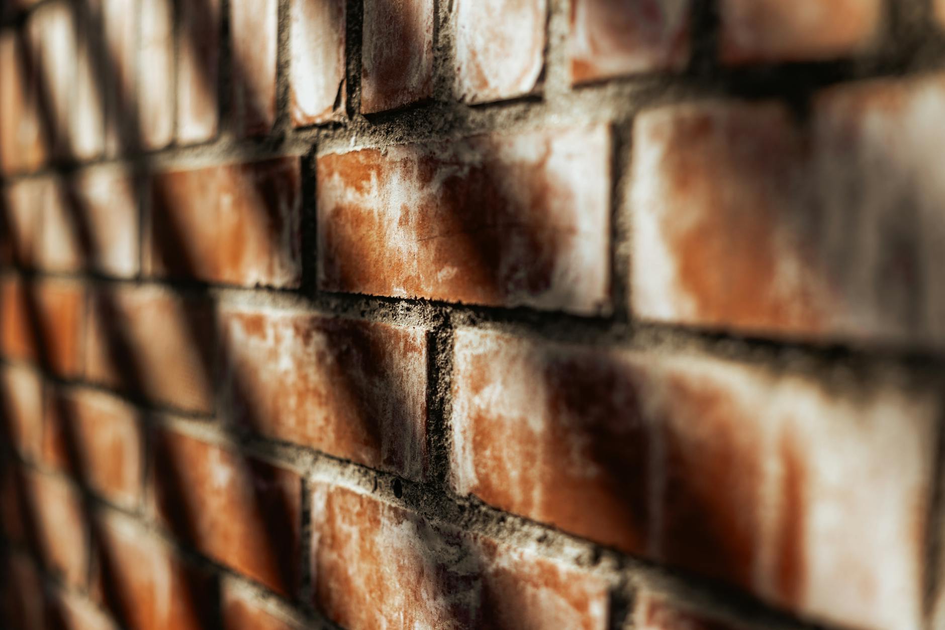 Close-up of a sunlit brick wall highlighting rough texture and shadows.