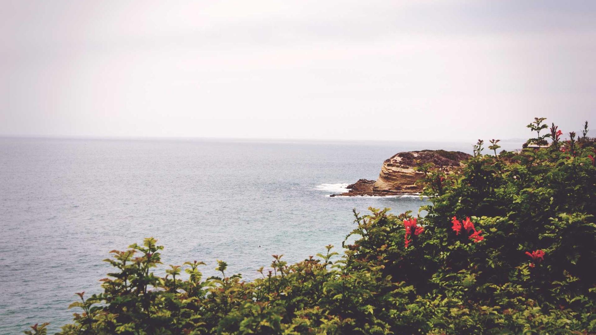 Random image from Lorem Picsum