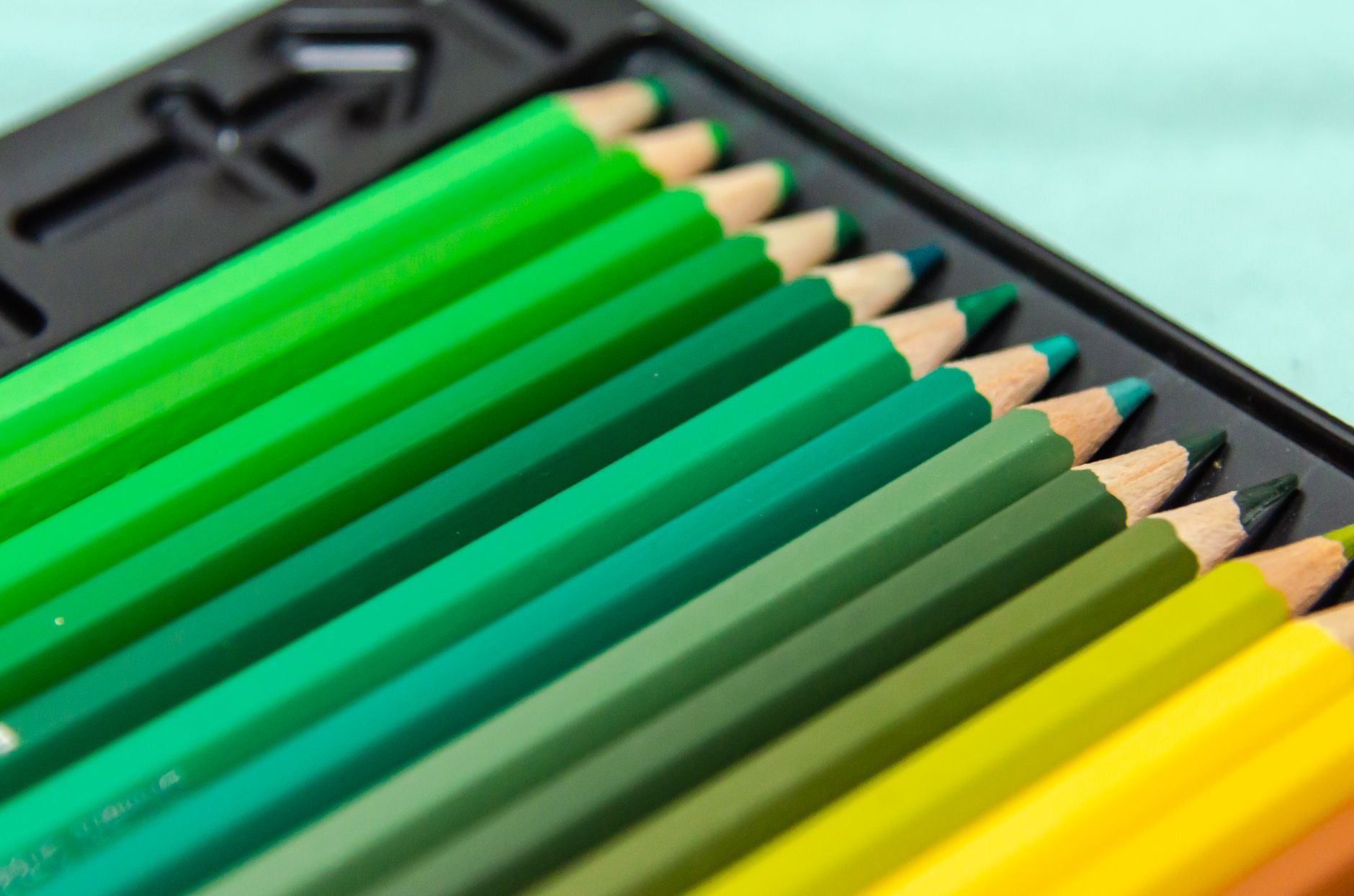 Vibrant green shaded pencils in a black casing perfect for art projects.