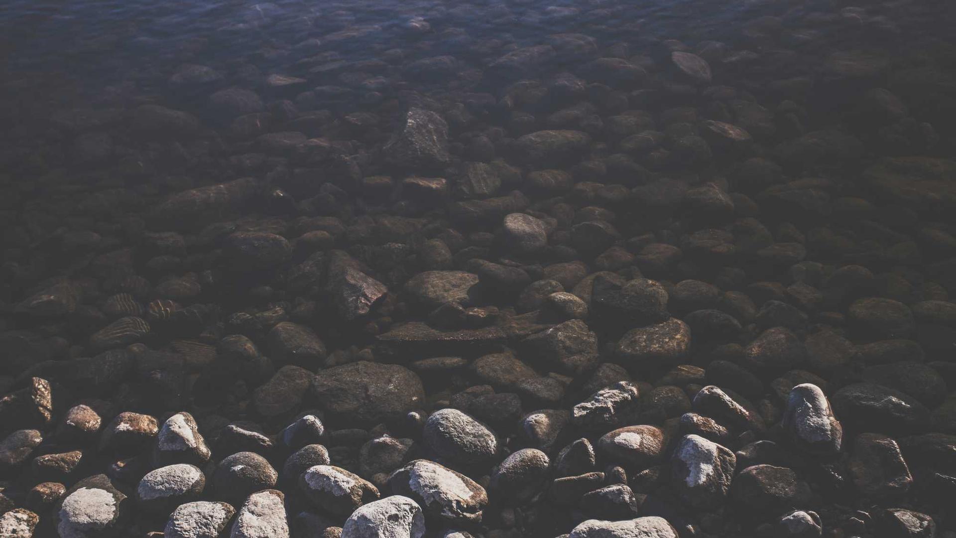 Random image from Lorem Picsum