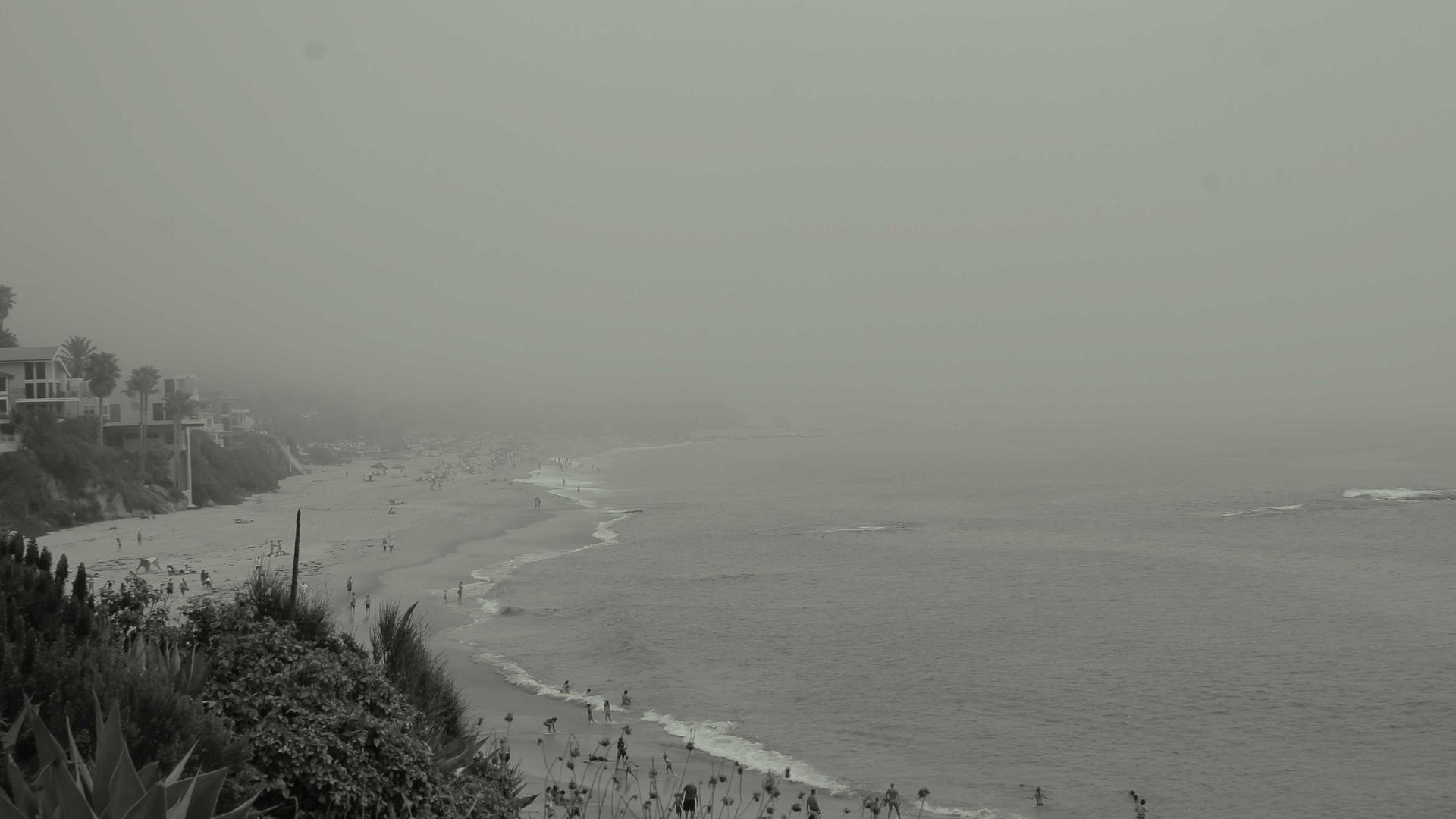 Random image from Lorem Picsum