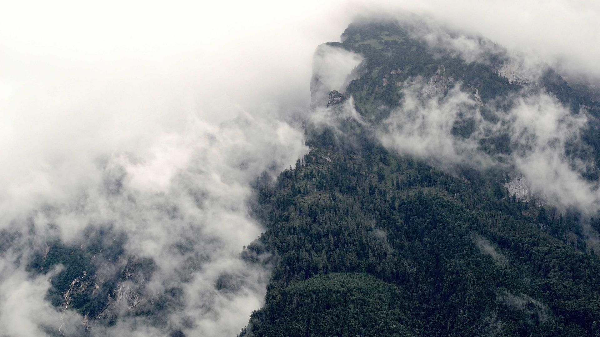 Random image from Lorem Picsum