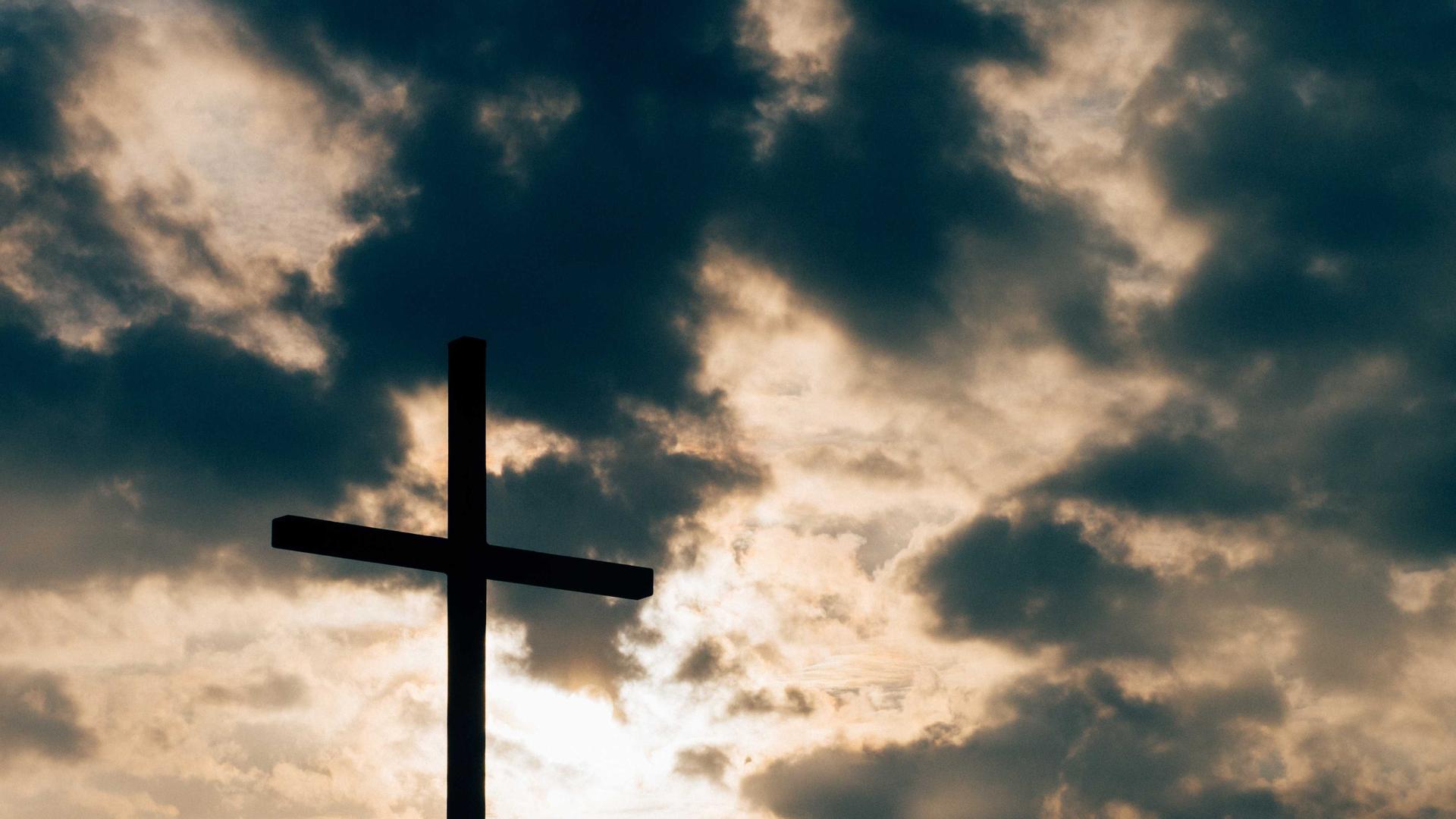 Random image from Lorem Picsum