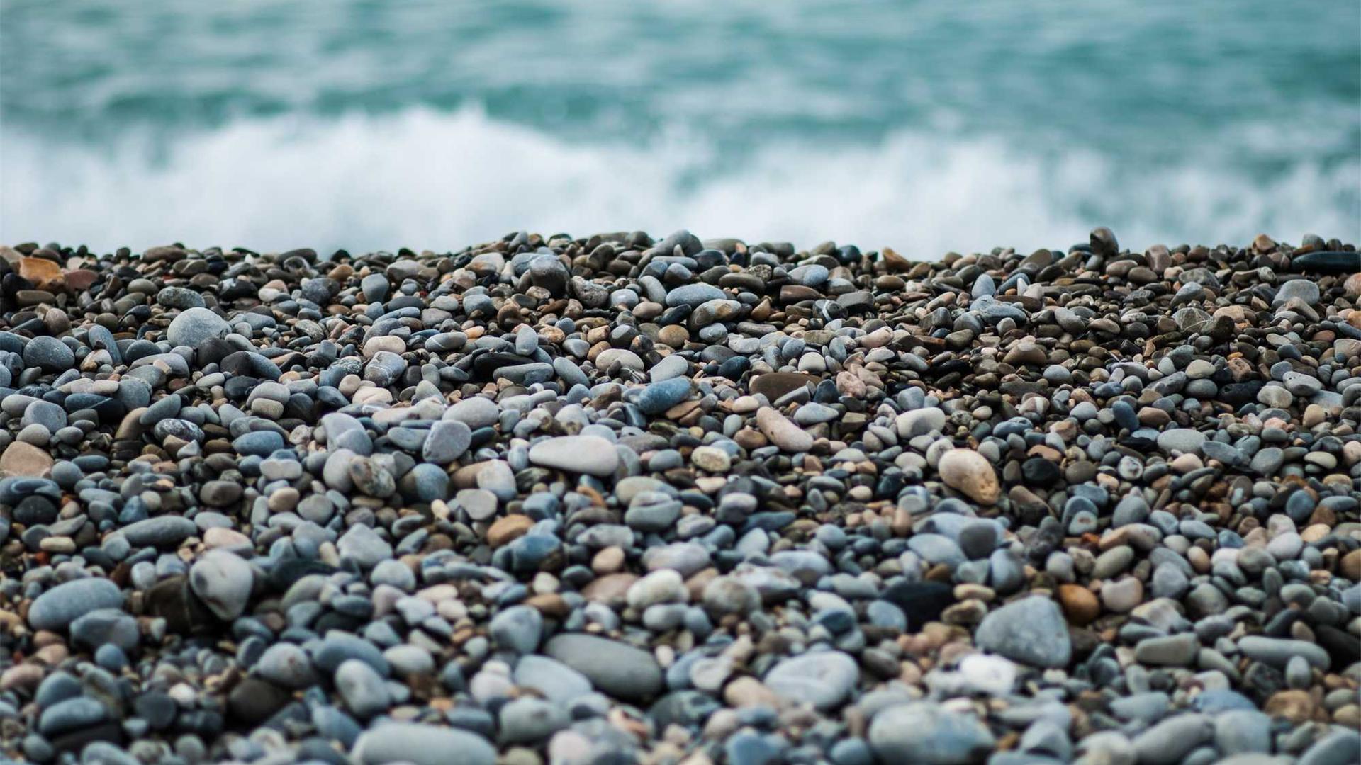 Random image from Lorem Picsum