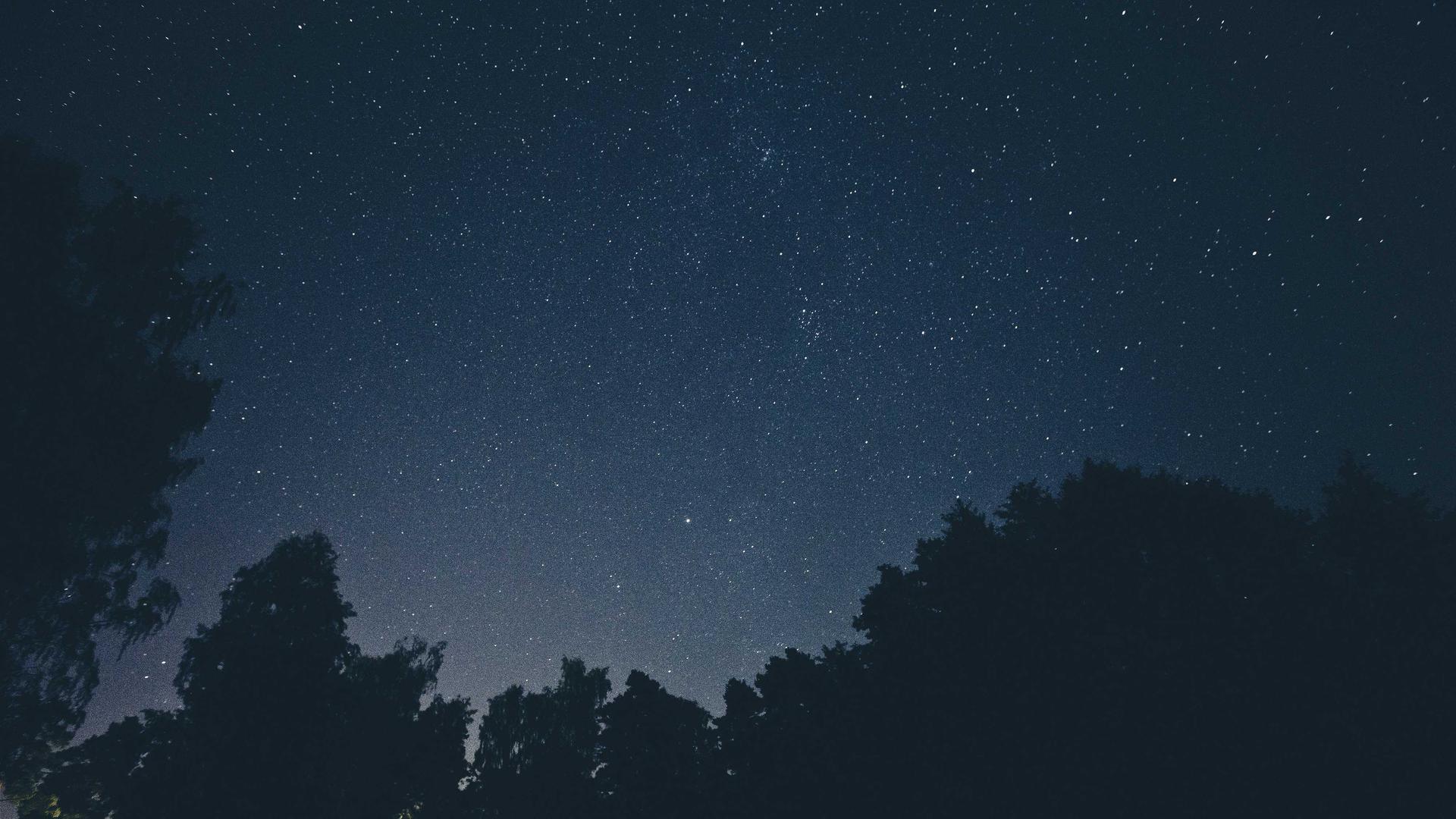 Random image from Lorem Picsum