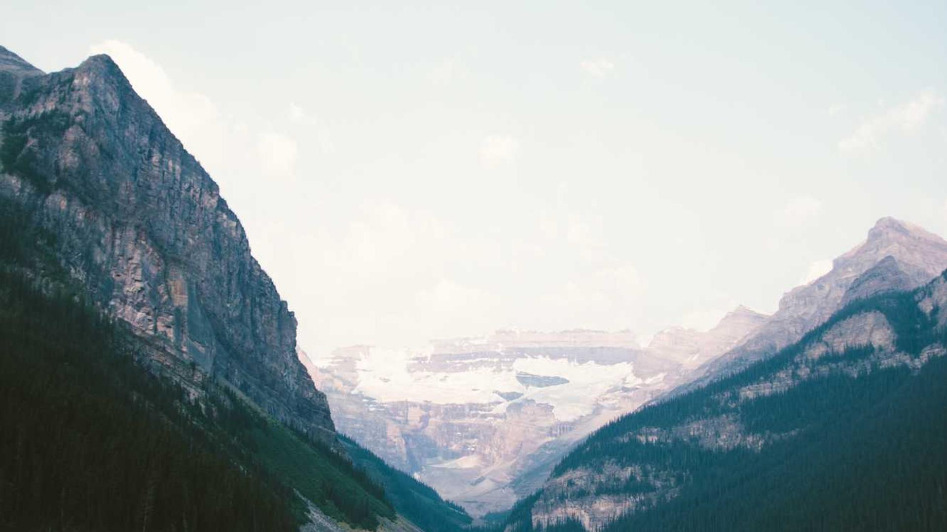 Random image from Lorem Picsum