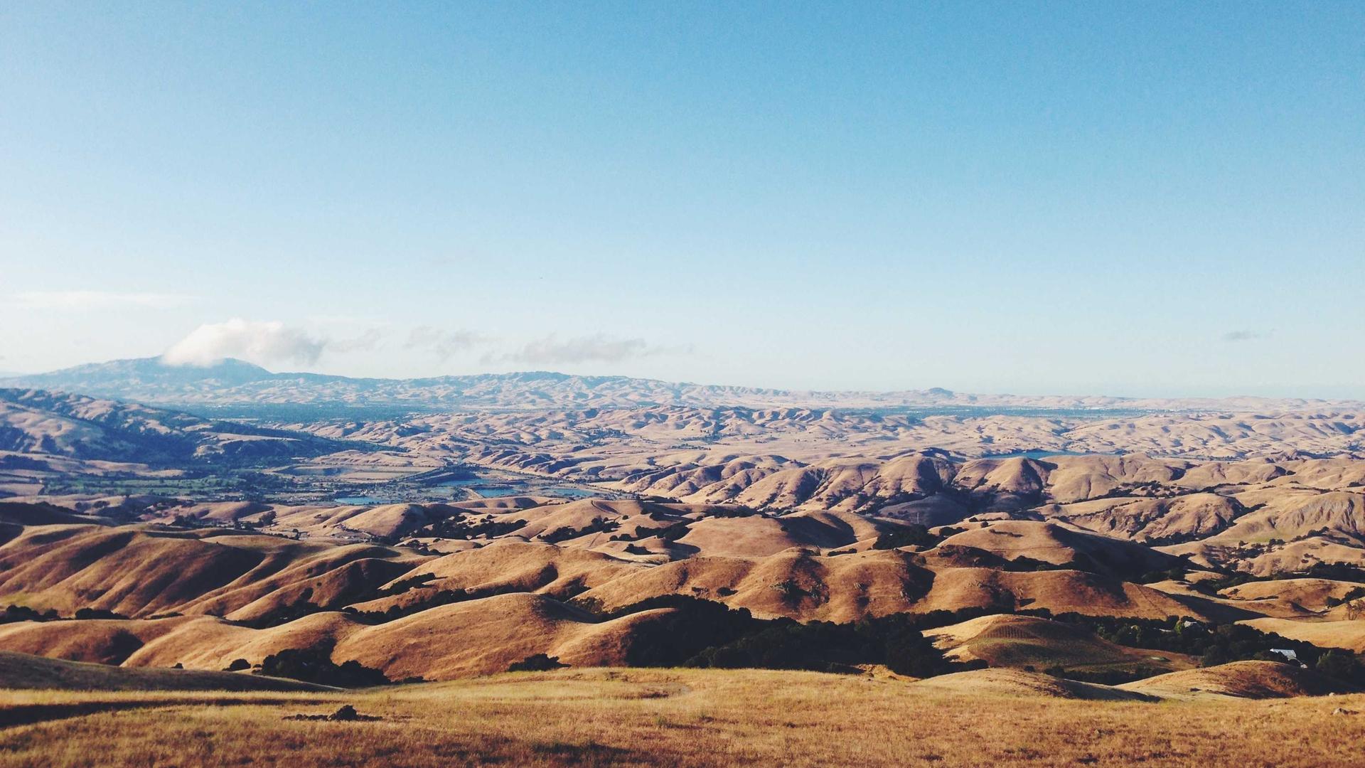 Random image from Lorem Picsum