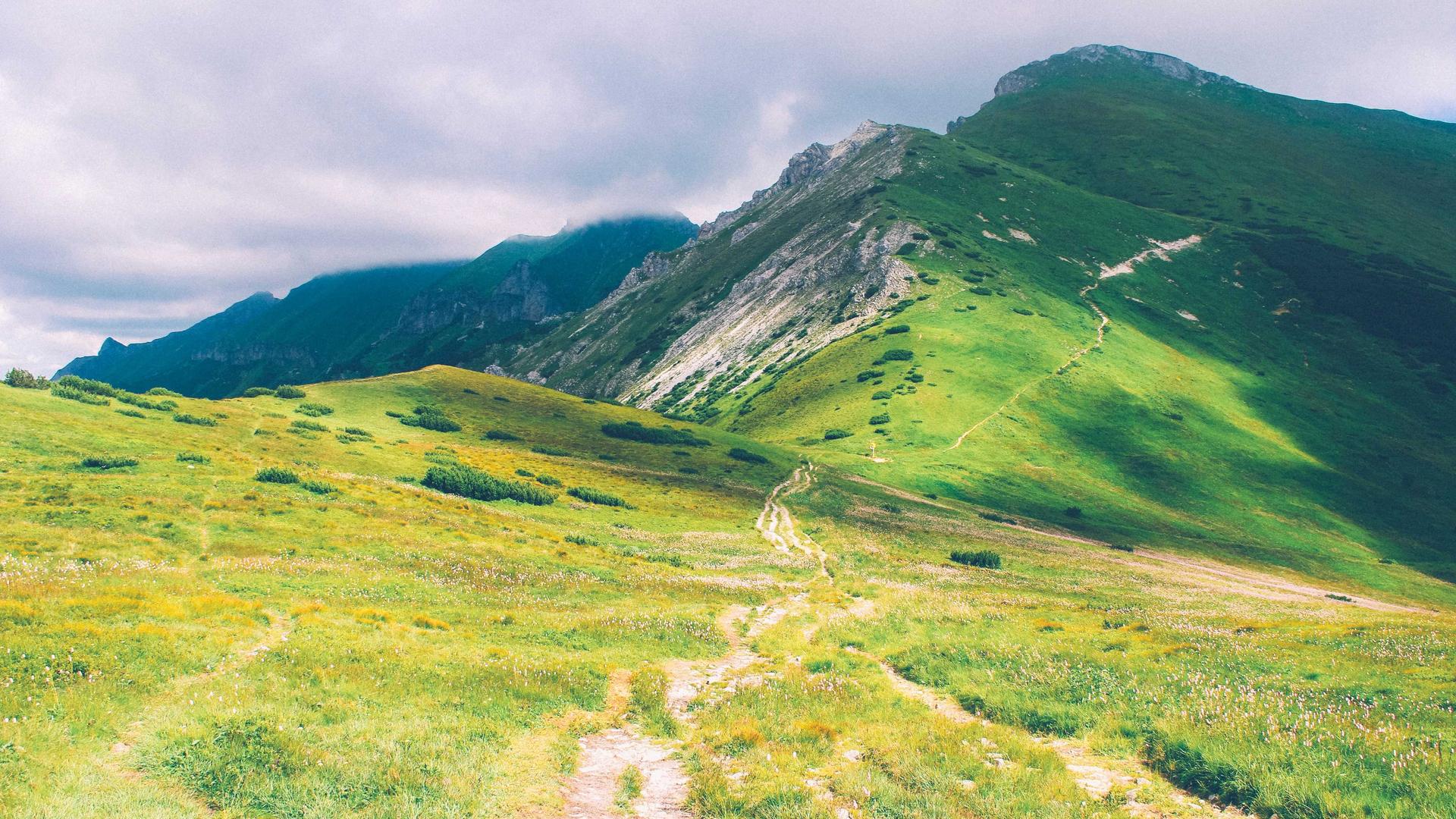 Random image from Lorem Picsum