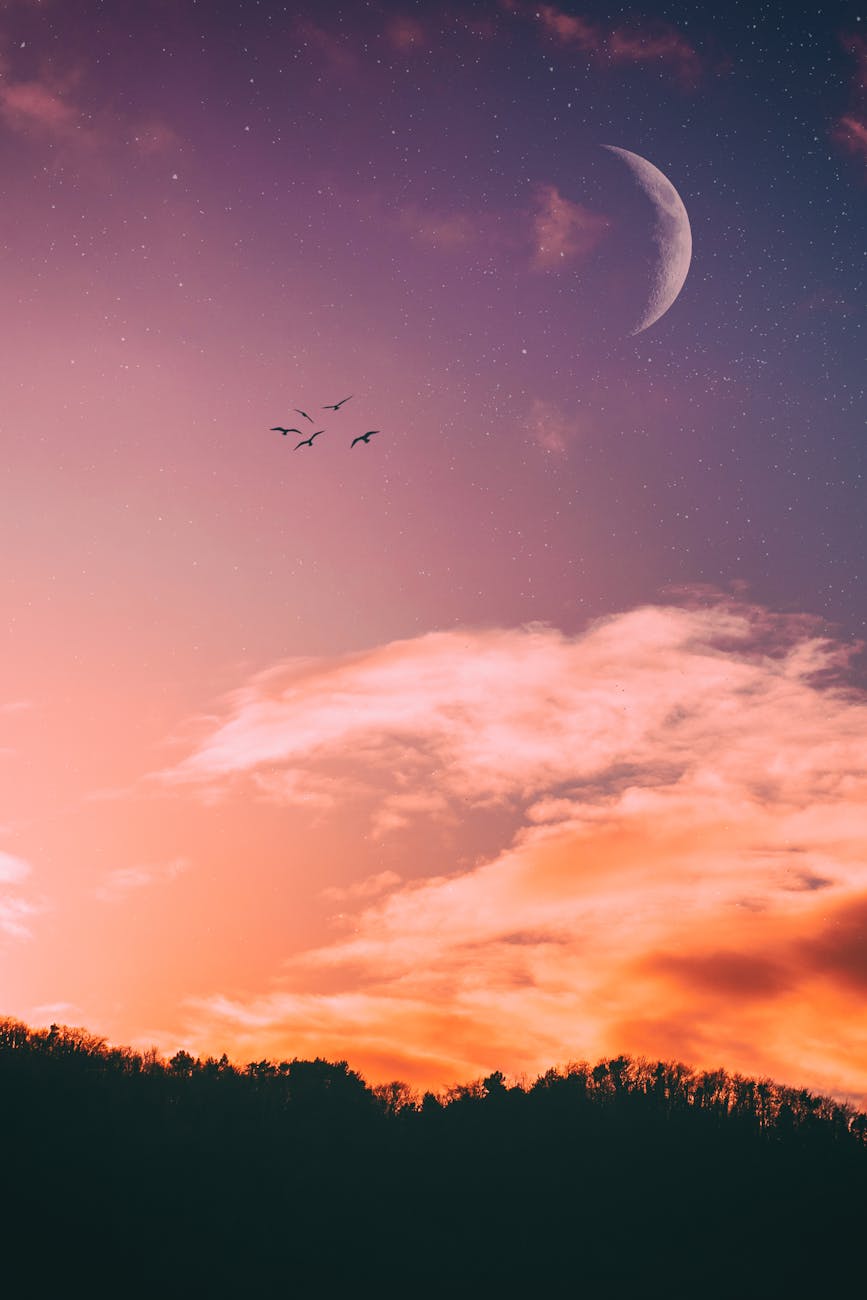 A picturesque sunset with a crescent moon and flying birds creates a serene and captivating sky scene.