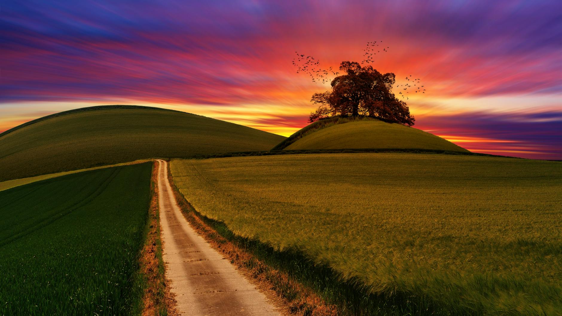 An enchanting countryside view with fields and a pathway under a vibrant sunset sky.