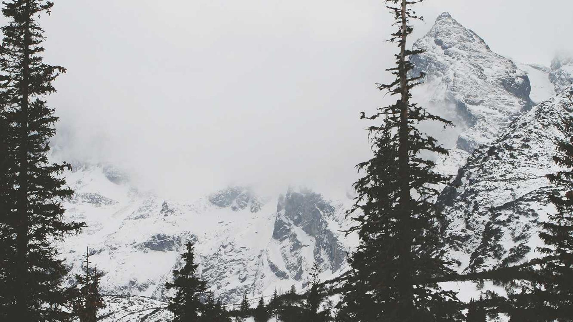 Random image from Lorem Picsum