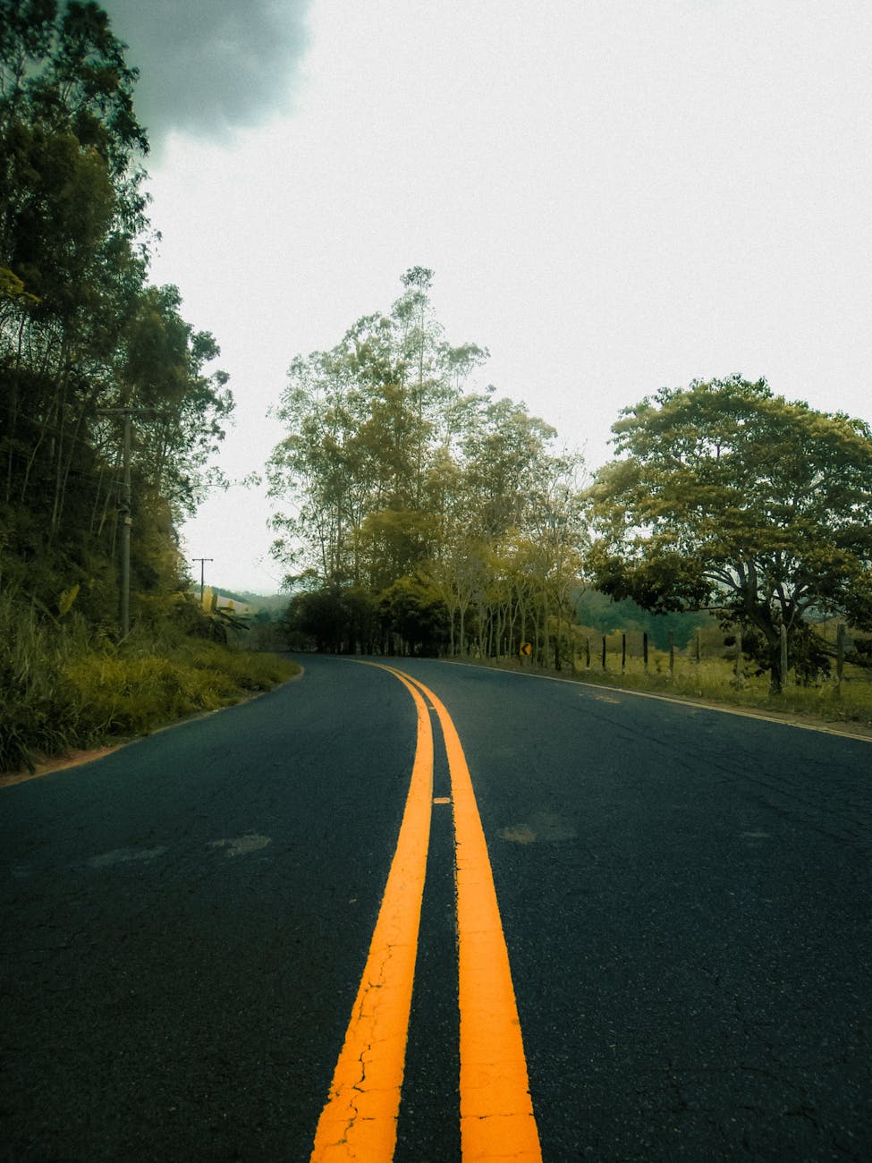 Road curving through lush trees under an overcast sky, highlighting serene nature and travel vibes.