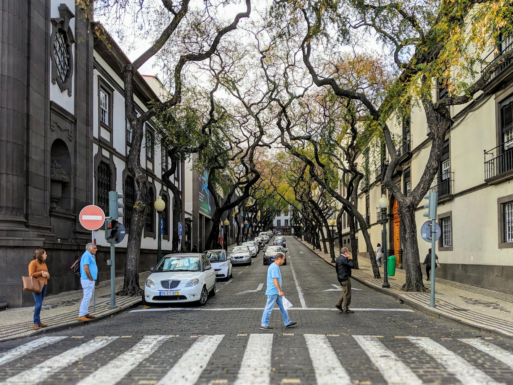 Free stock photo of abbey road, like abbey road, madeira