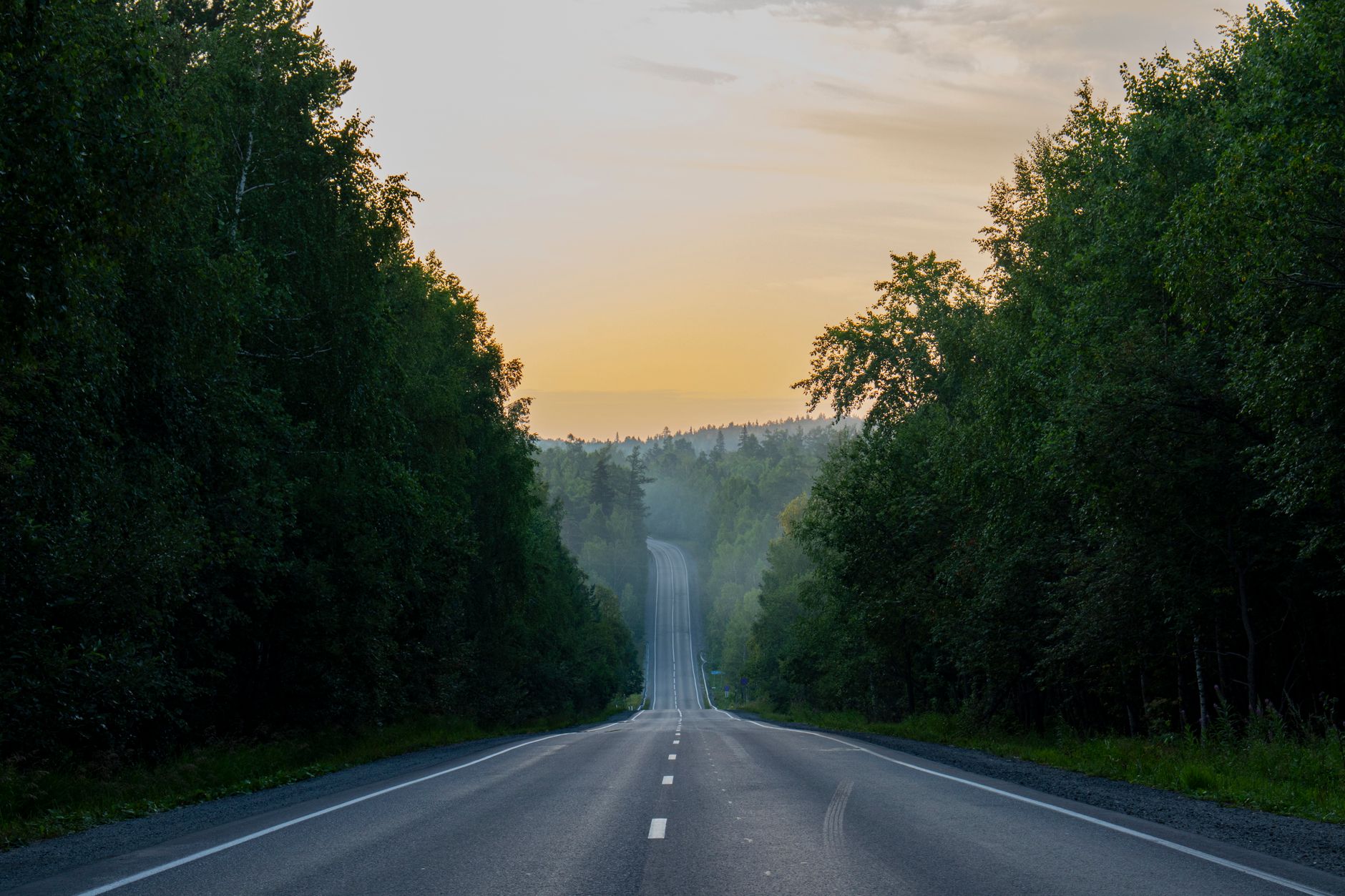 Peaceful road through lush forest at sunrise near Zlatoust