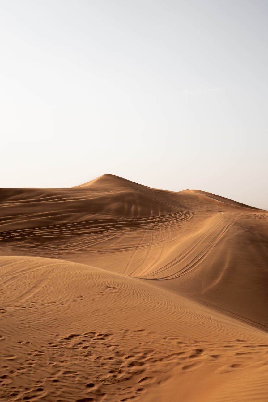 Golden sand dunes in Dubai's desert captured during sunset, highlighting the natural beauty and serene atmosphere.