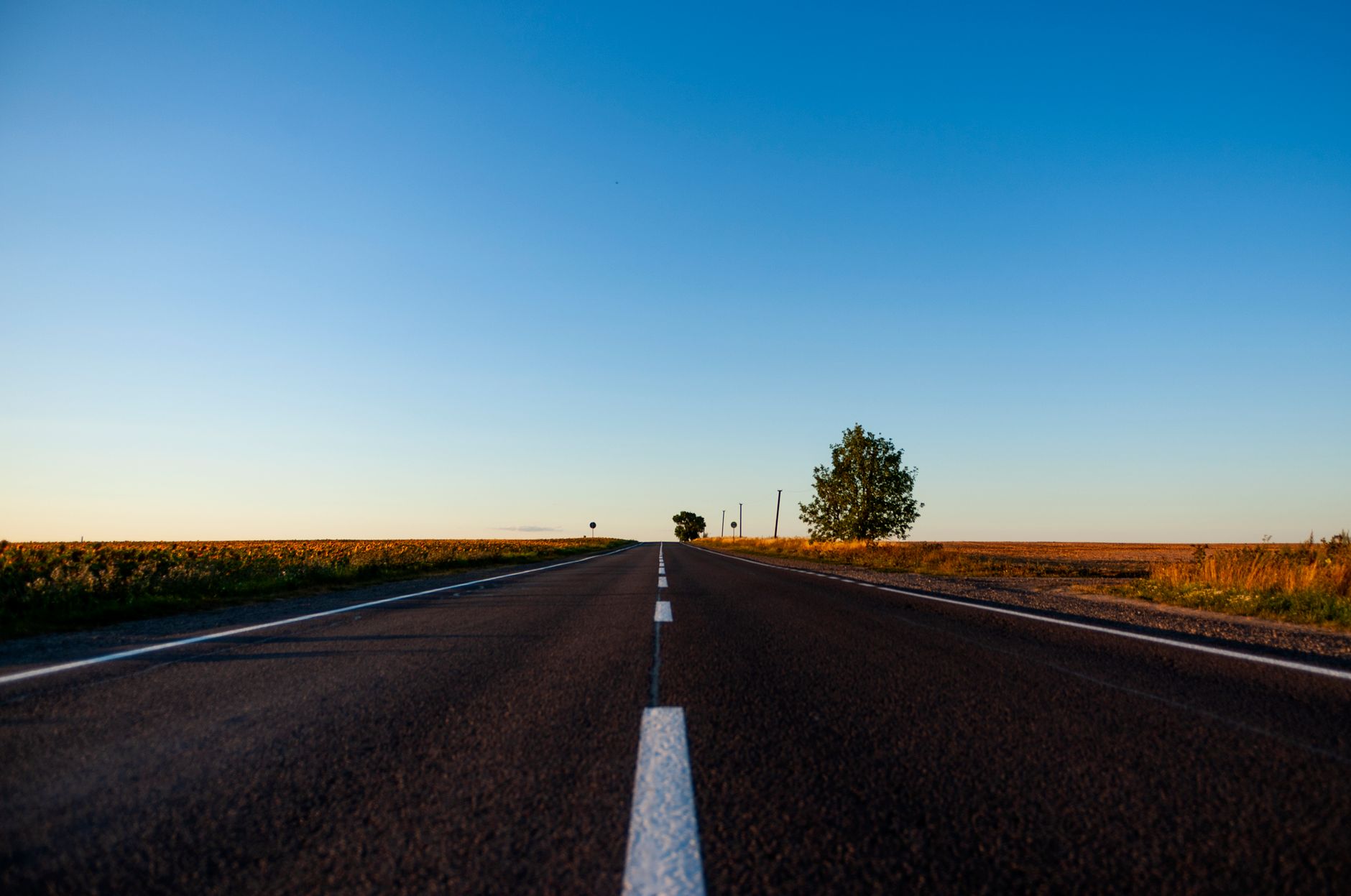 Empty rural highway under a clear blue sky with a lone tree by the roadside in Ukraine.
