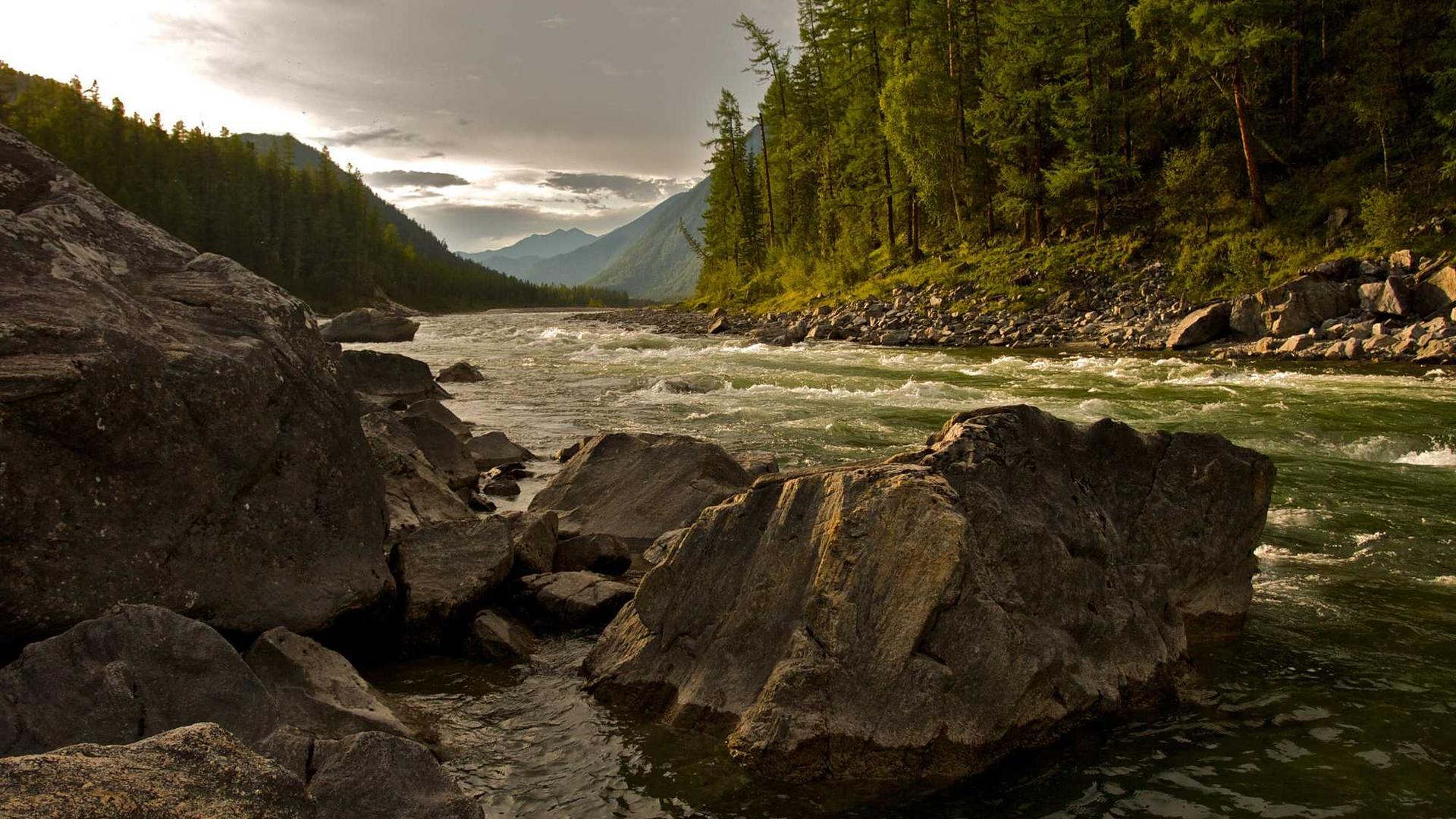 Random image from Lorem Picsum