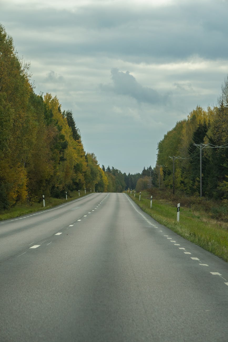 Empty road lined with colorful autumn trees under a cloudy sky in Sweden, perfect for travel concepts.