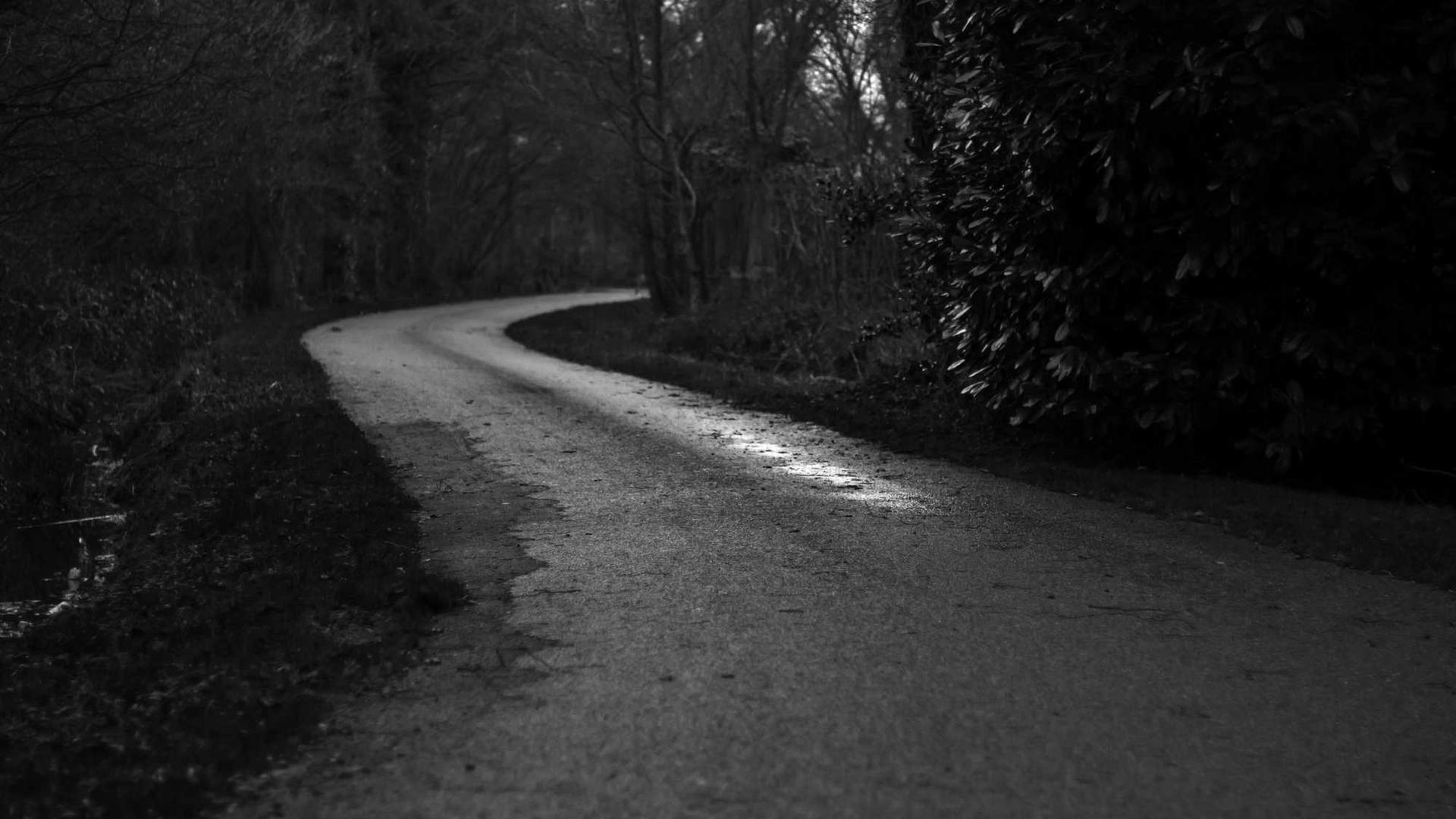 Random image from Lorem Picsum