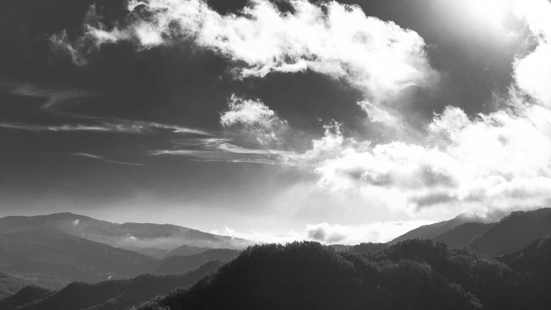 Random image from Lorem Picsum