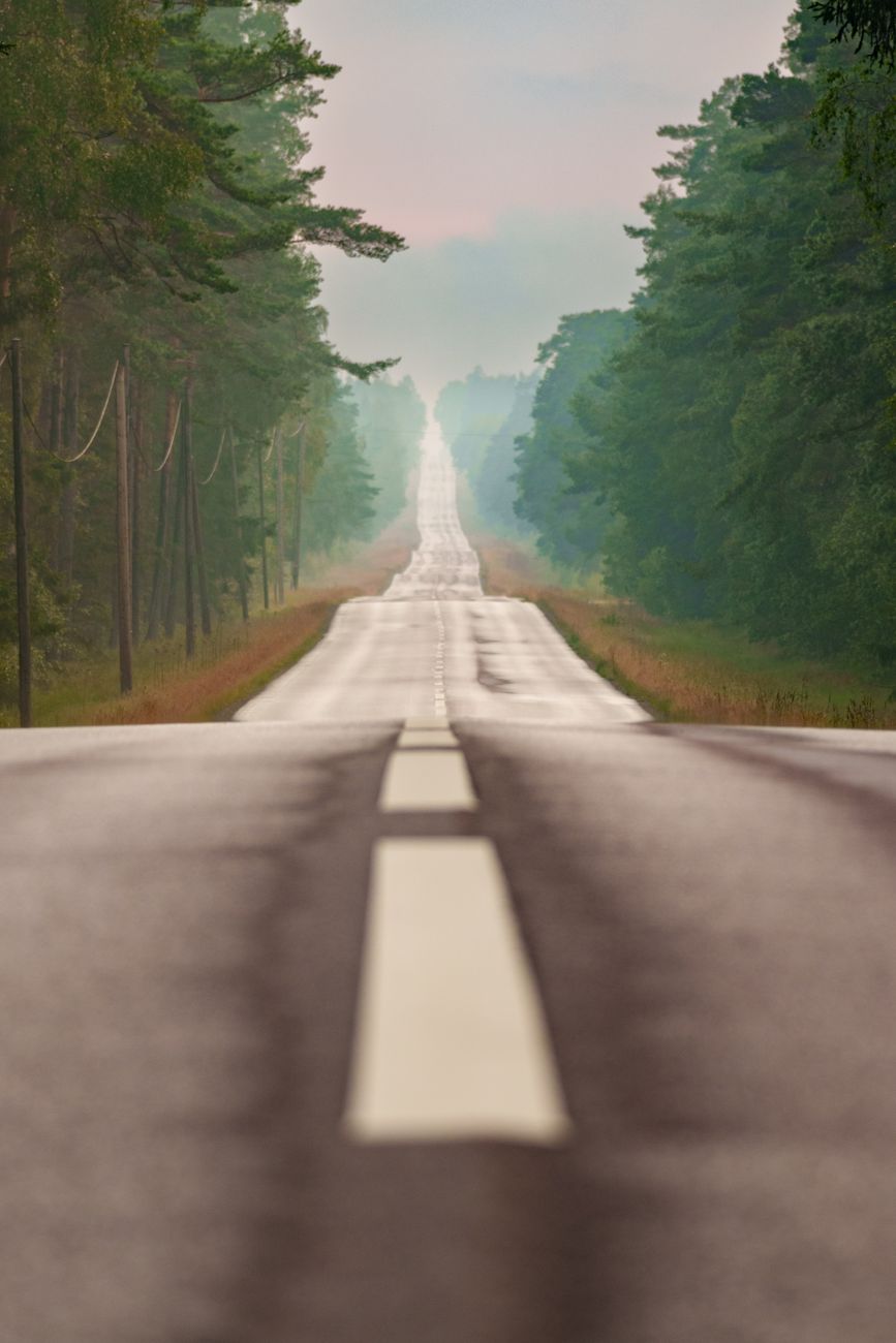 A long, empty road stretches through a lush green forest, shrouded in early morning mist, creating a serene travel scene.