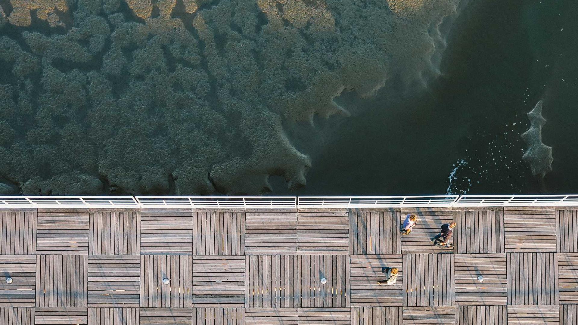 Random image from Lorem Picsum