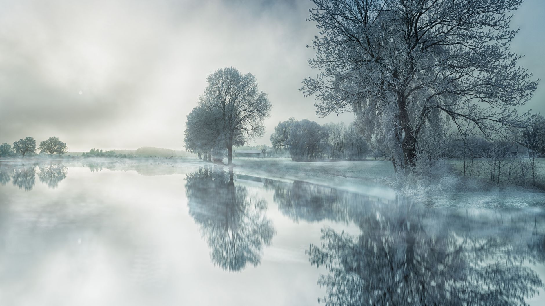 Peaceful winter scene with frosted trees reflecting in a calm lake.