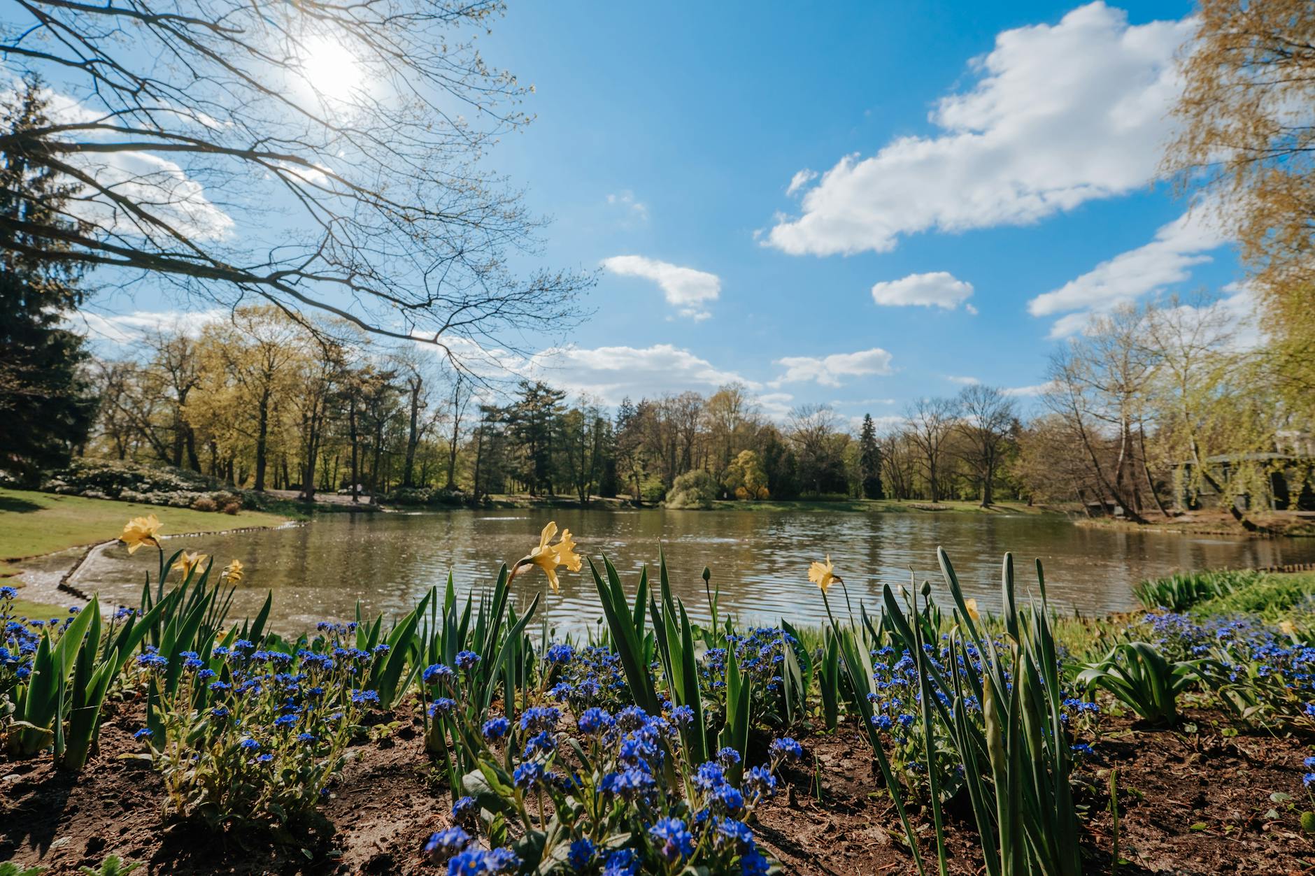 Beautiful spring garden with vibrant flowers by a tranquil lakeside under a bright sky.